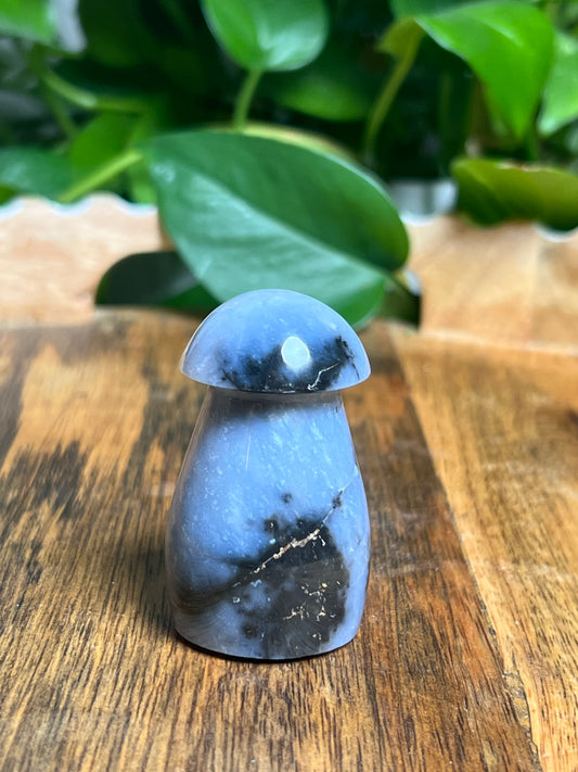 Blue Plume Agate Mushroom: TP