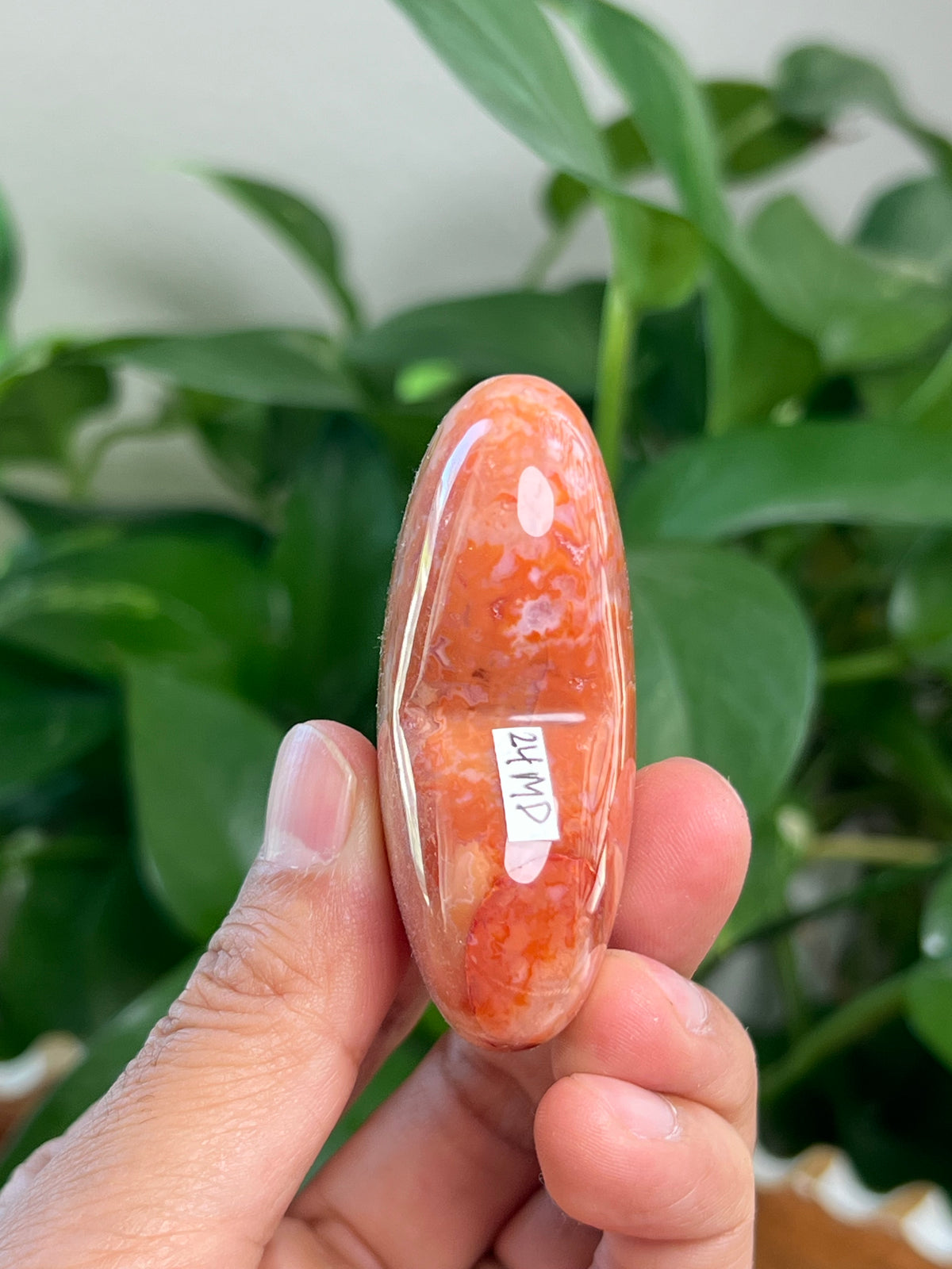 Carnelian Heart: MD