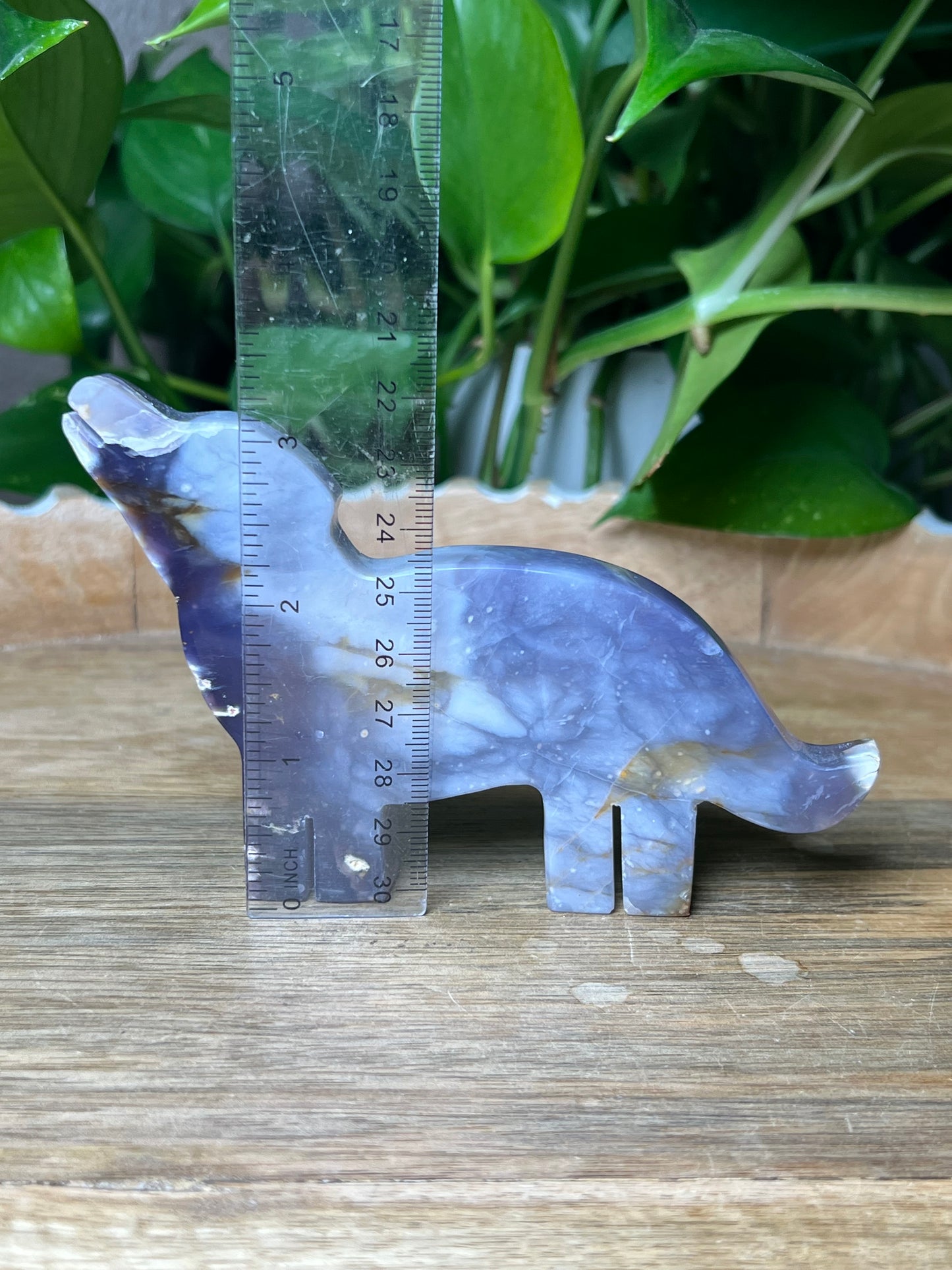 Purple Chalcedony Dog