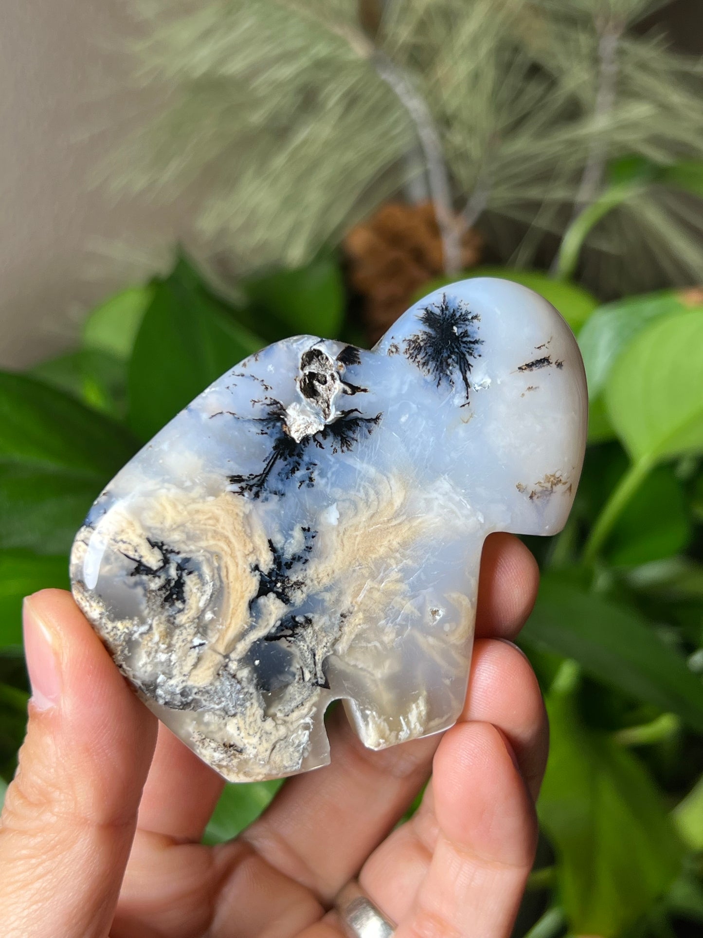 Dendritic Tiger Buffalo