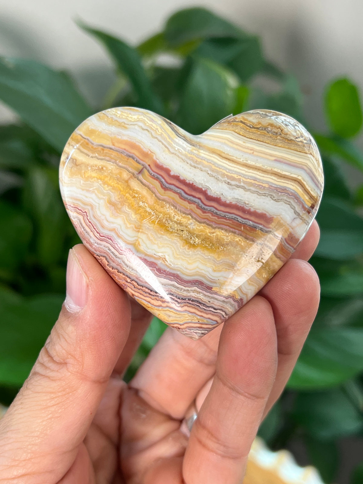 Crazy Lace Agate Small Puffy Moons