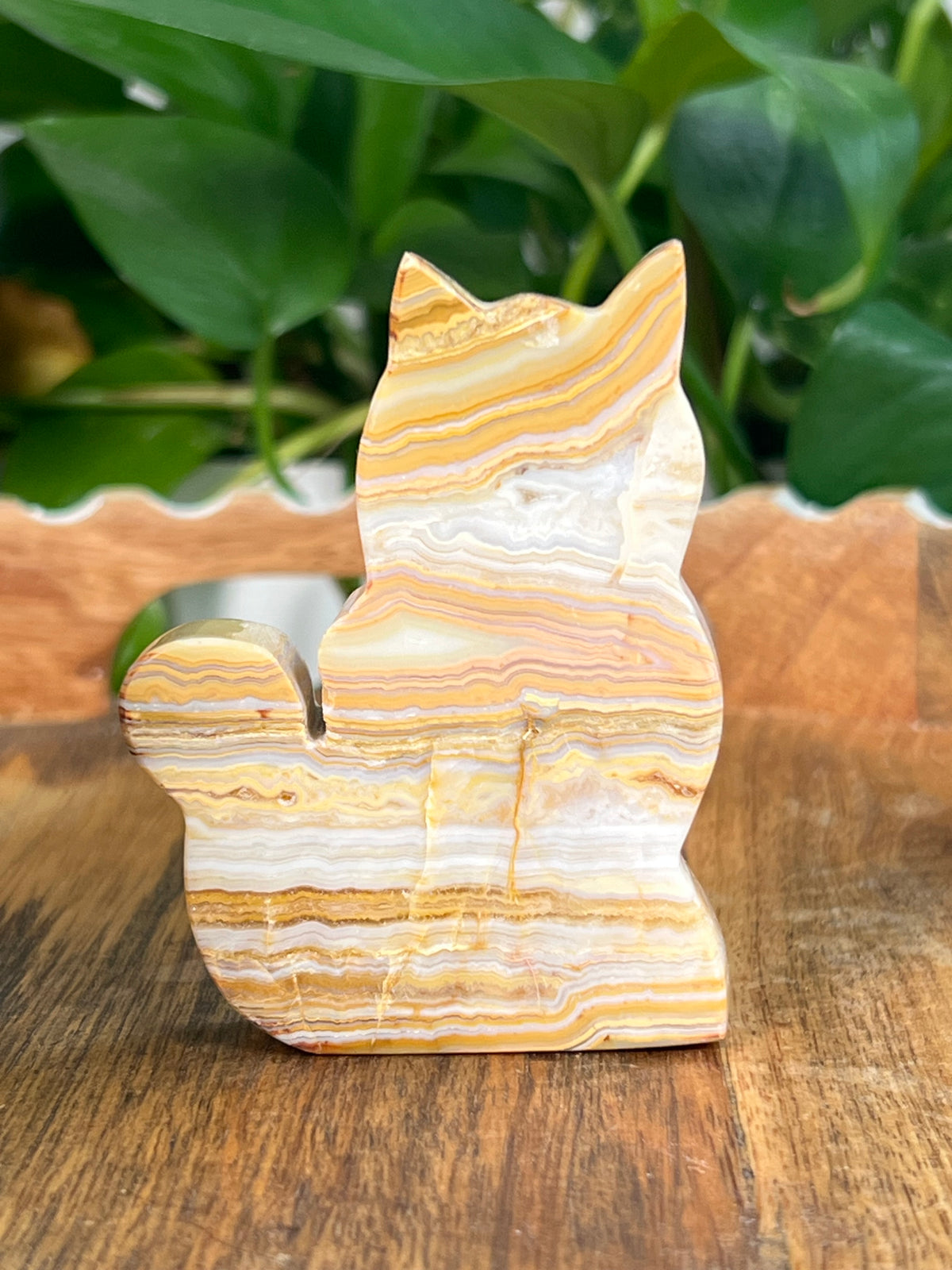 Crazy Lace Agate Small Cats
