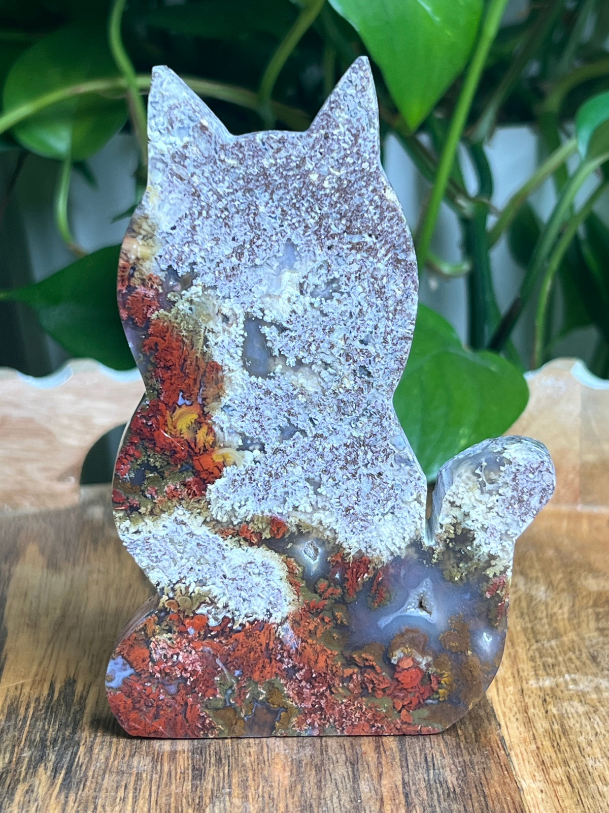 Scenic Moss Agate Cat: AP