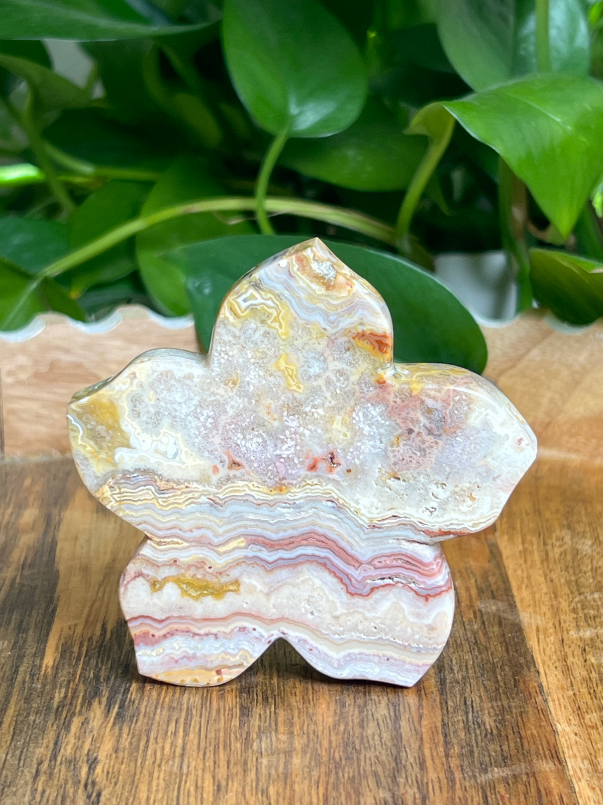 Crazy Lace Agate Flower: CA