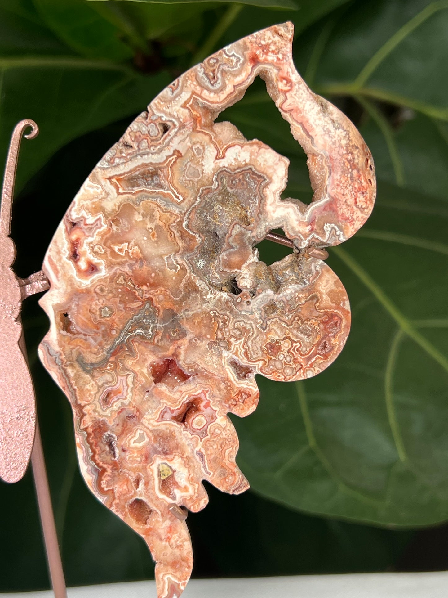 Crazy Lace Agate Wings