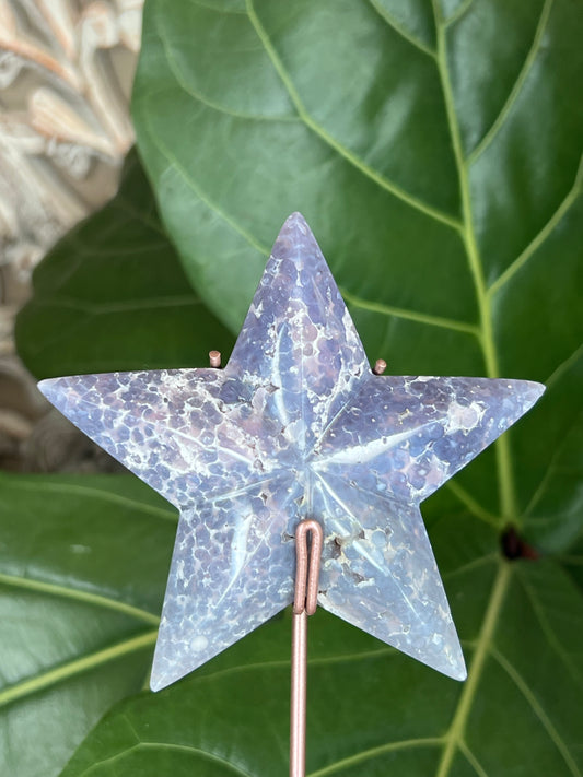 Grape Agate Star