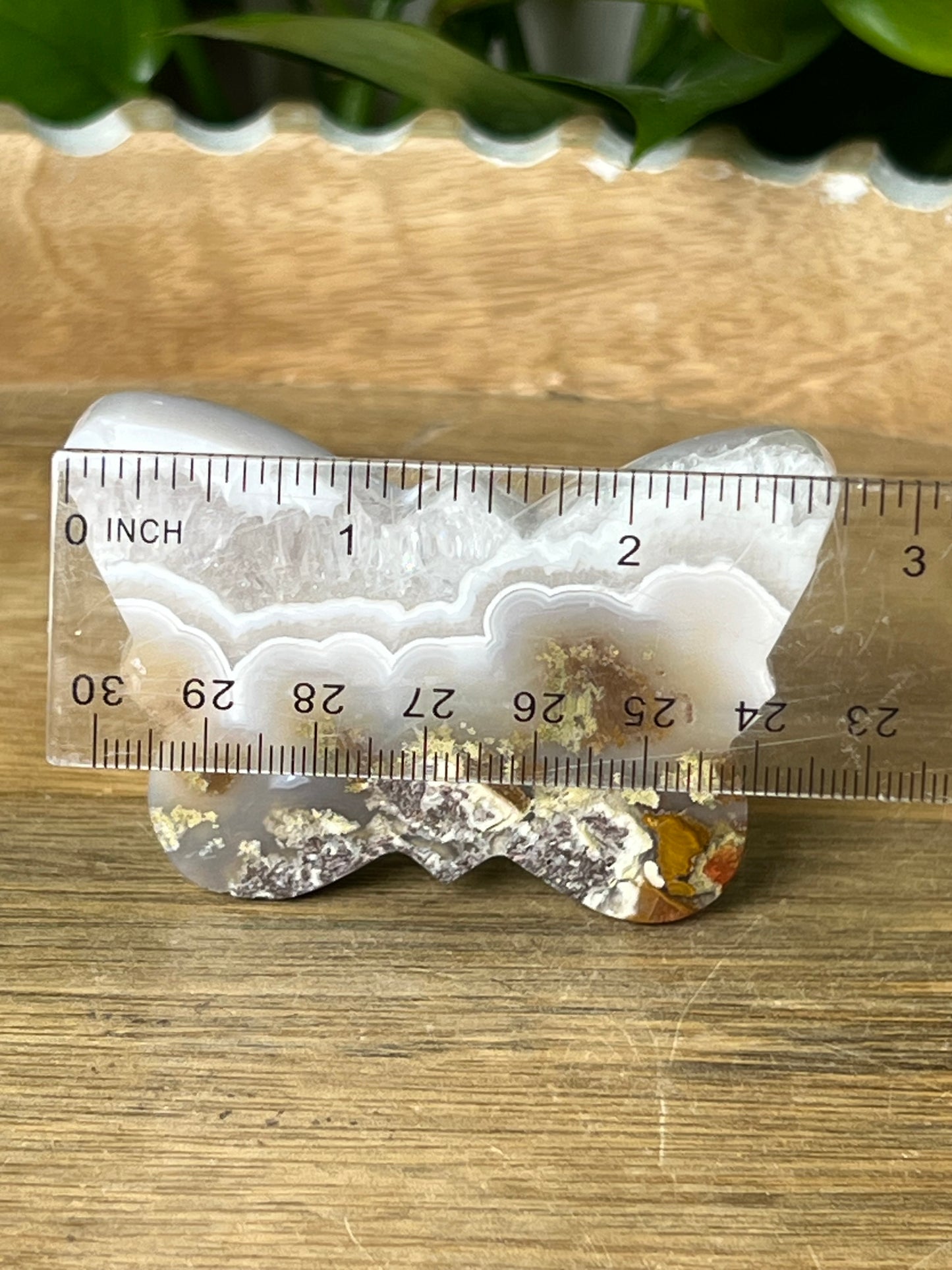 Scenic Moss Agate Butterfly