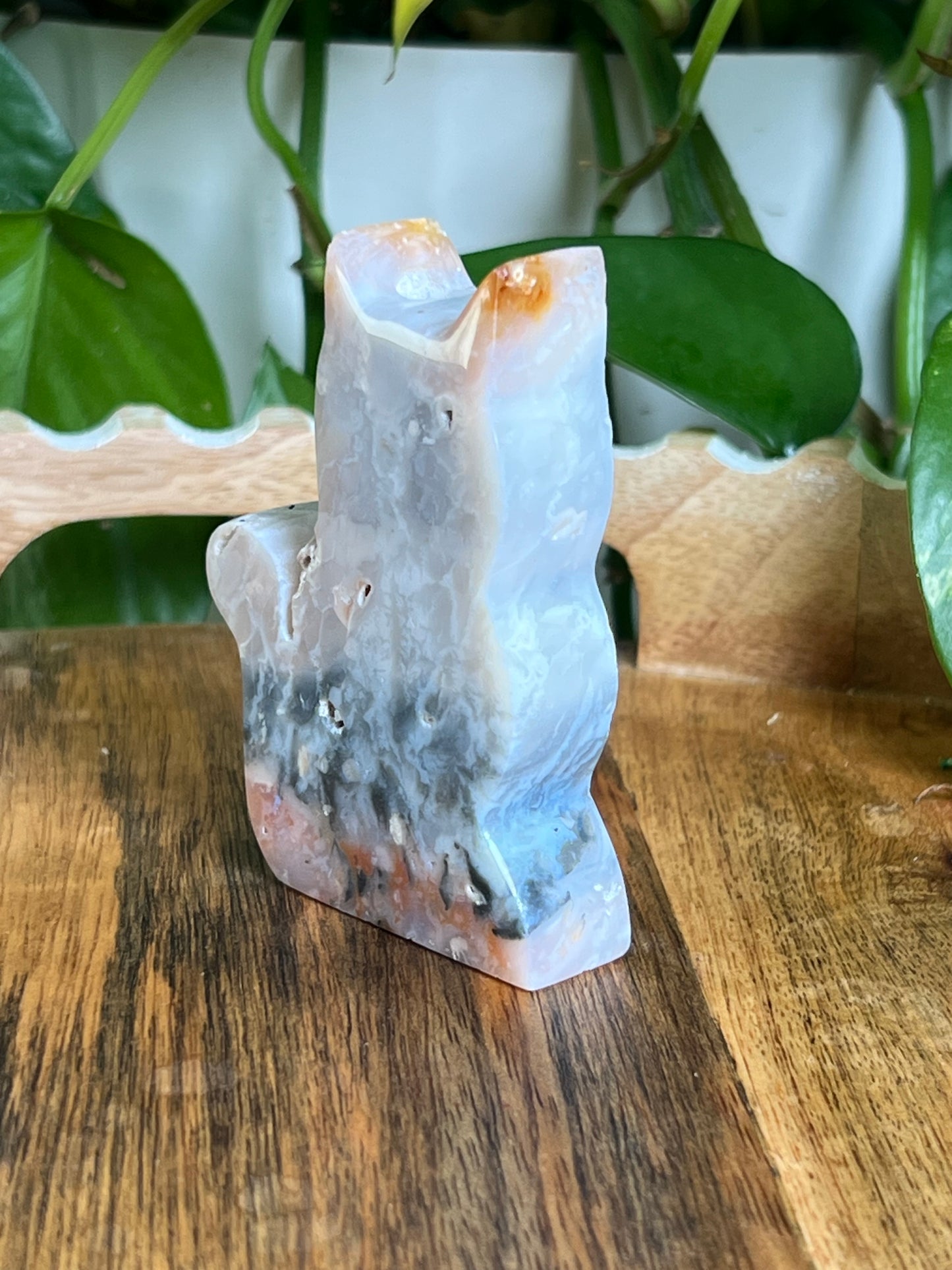 Rainbow Plume Agate Cat NG