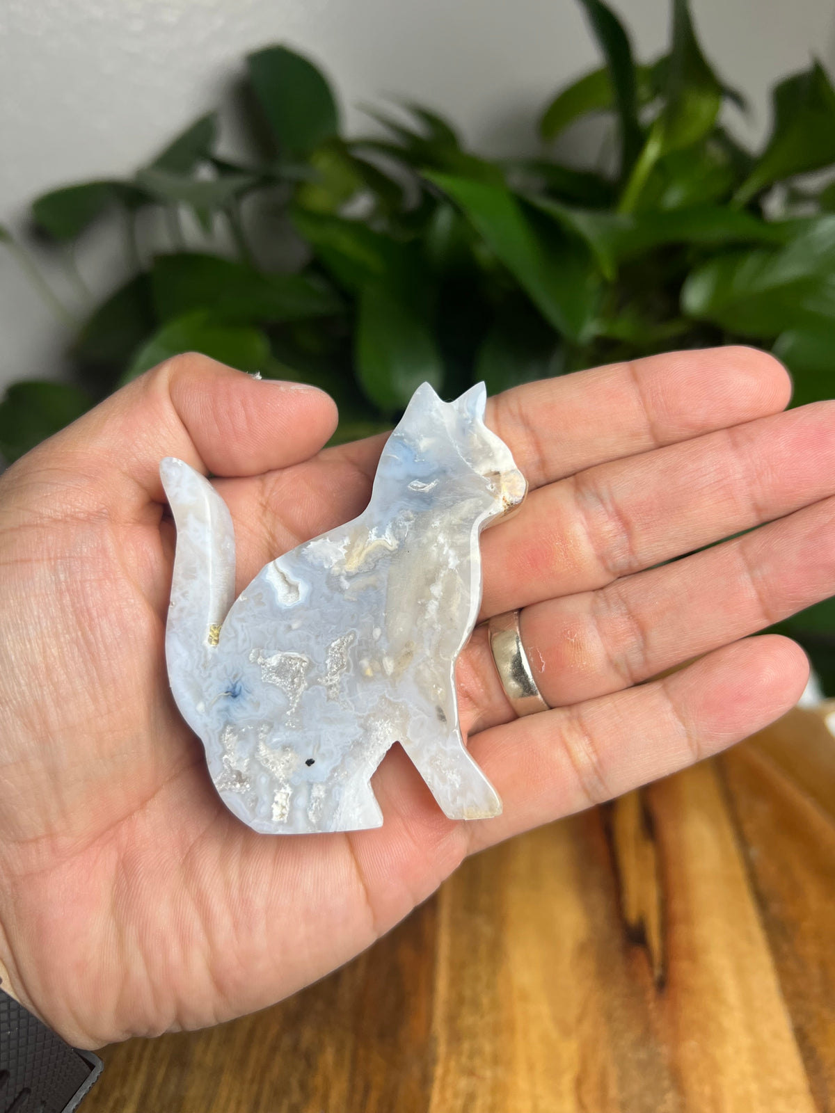 Dendritic Tiger Agate Cat: PE