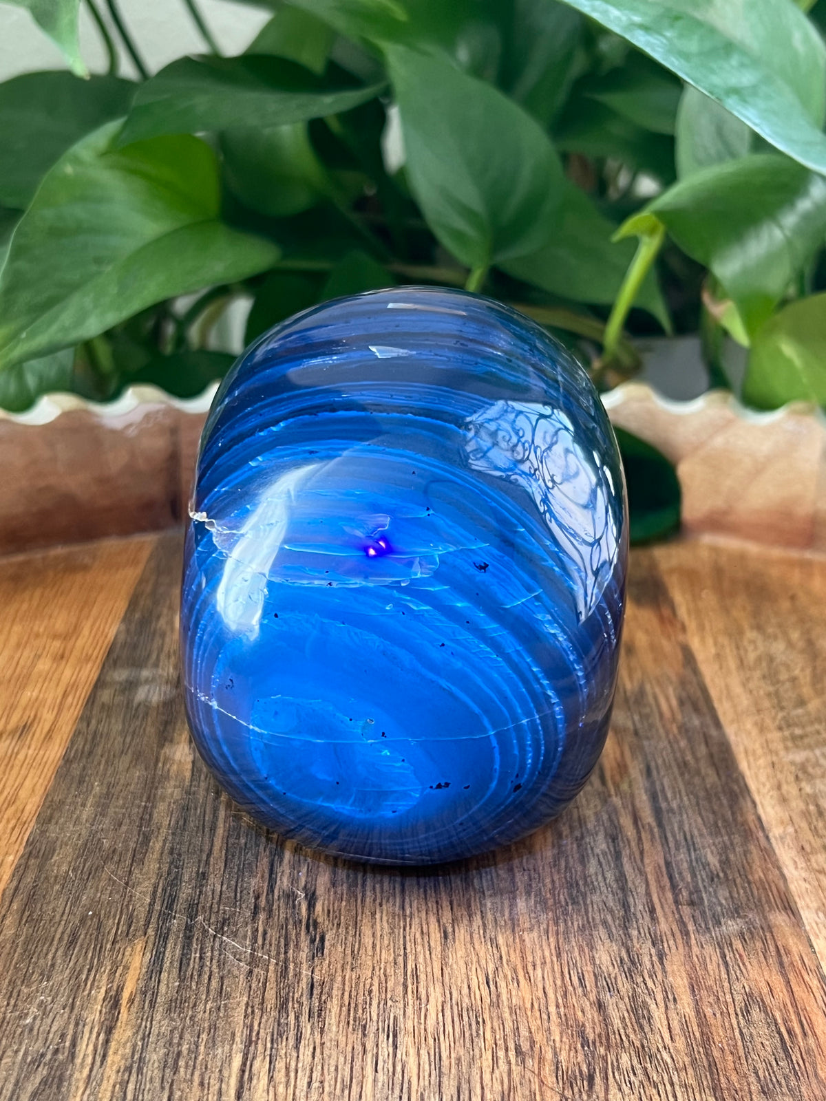 Blue Amber Skull: NX