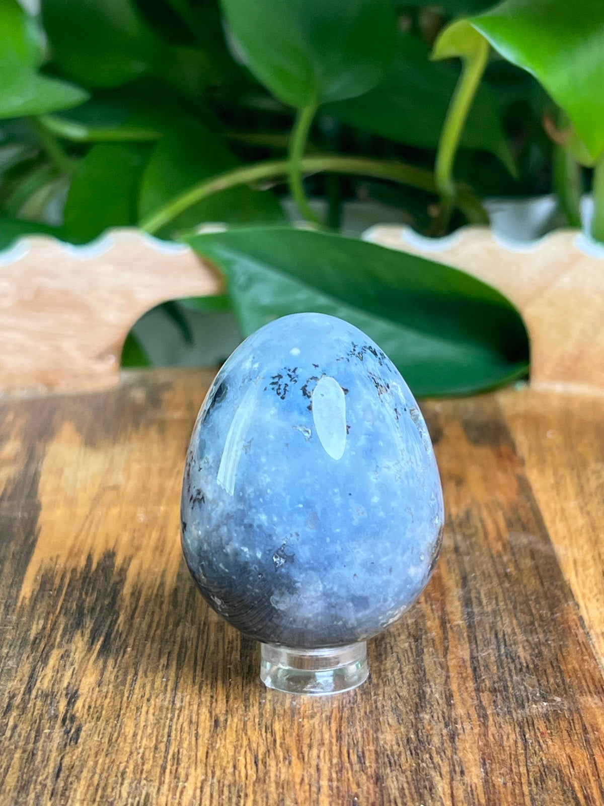 Blue Plume Agate Egg: BB