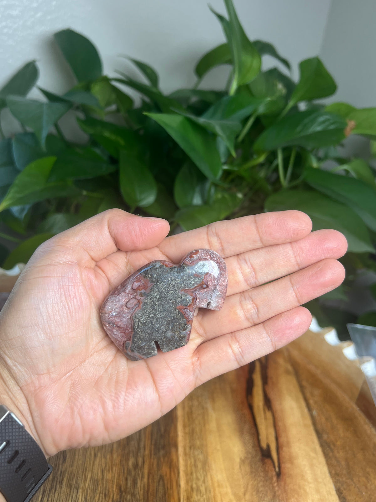 Marcasite Mini Buffalo: MK