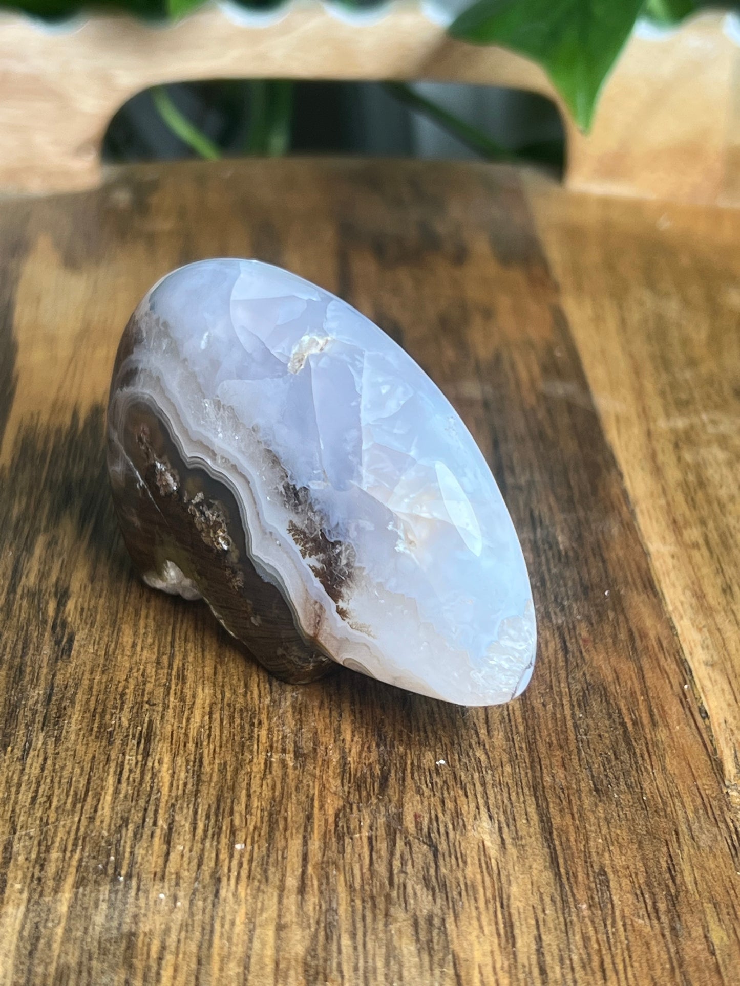 Scenic Moss Agate Bear BG