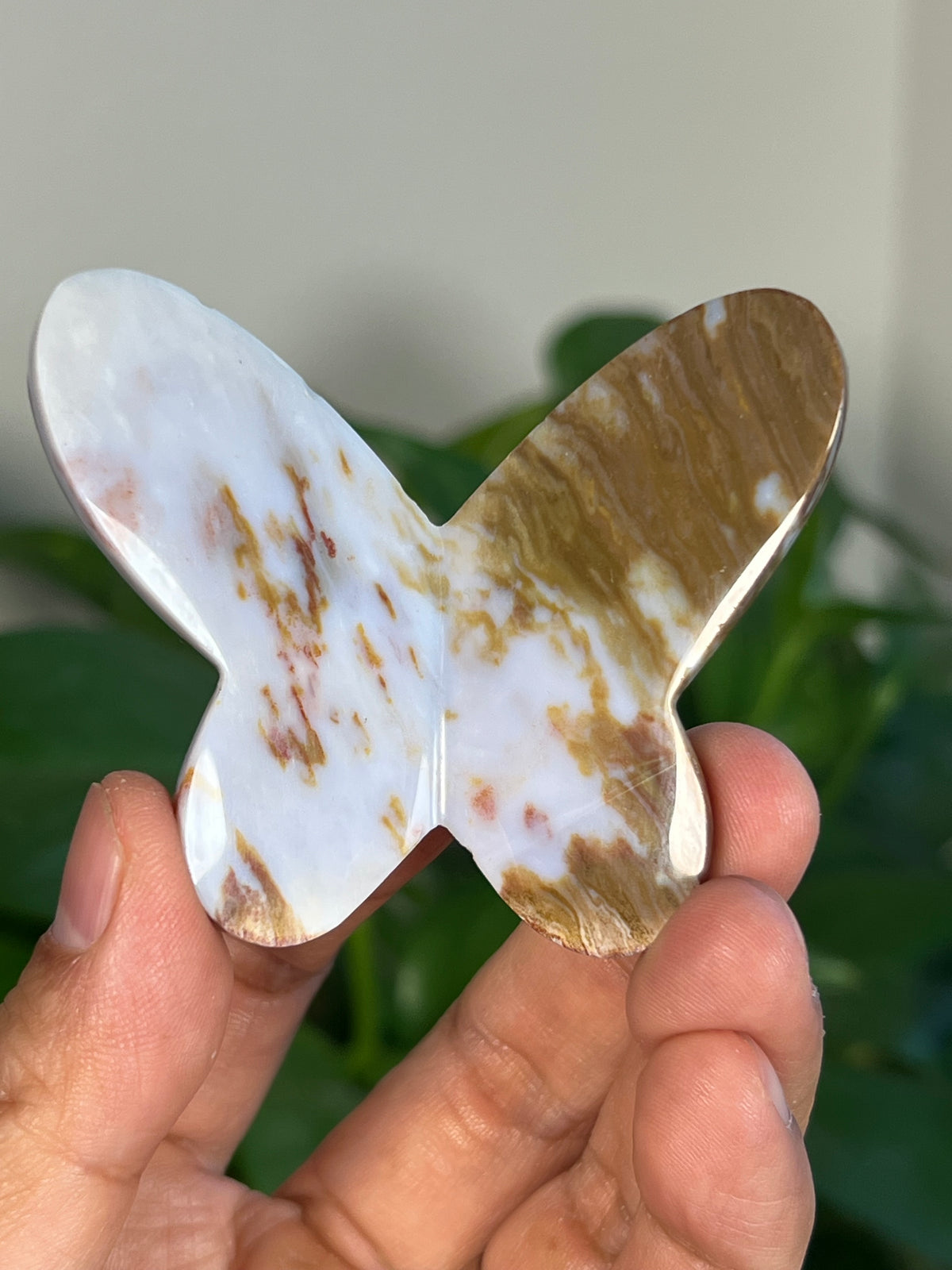 Milky River Jasper 3D Butterflies