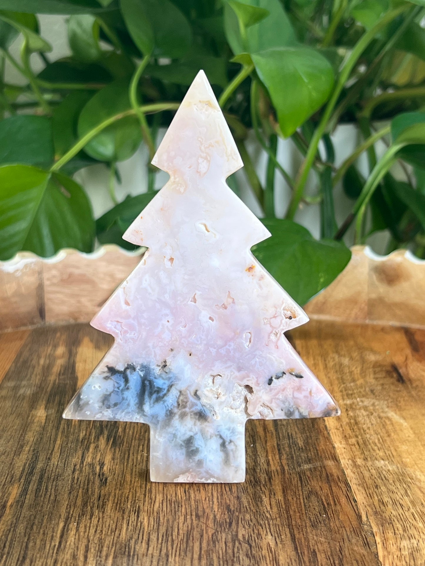 Rainbow Plume Agate Tree: DA