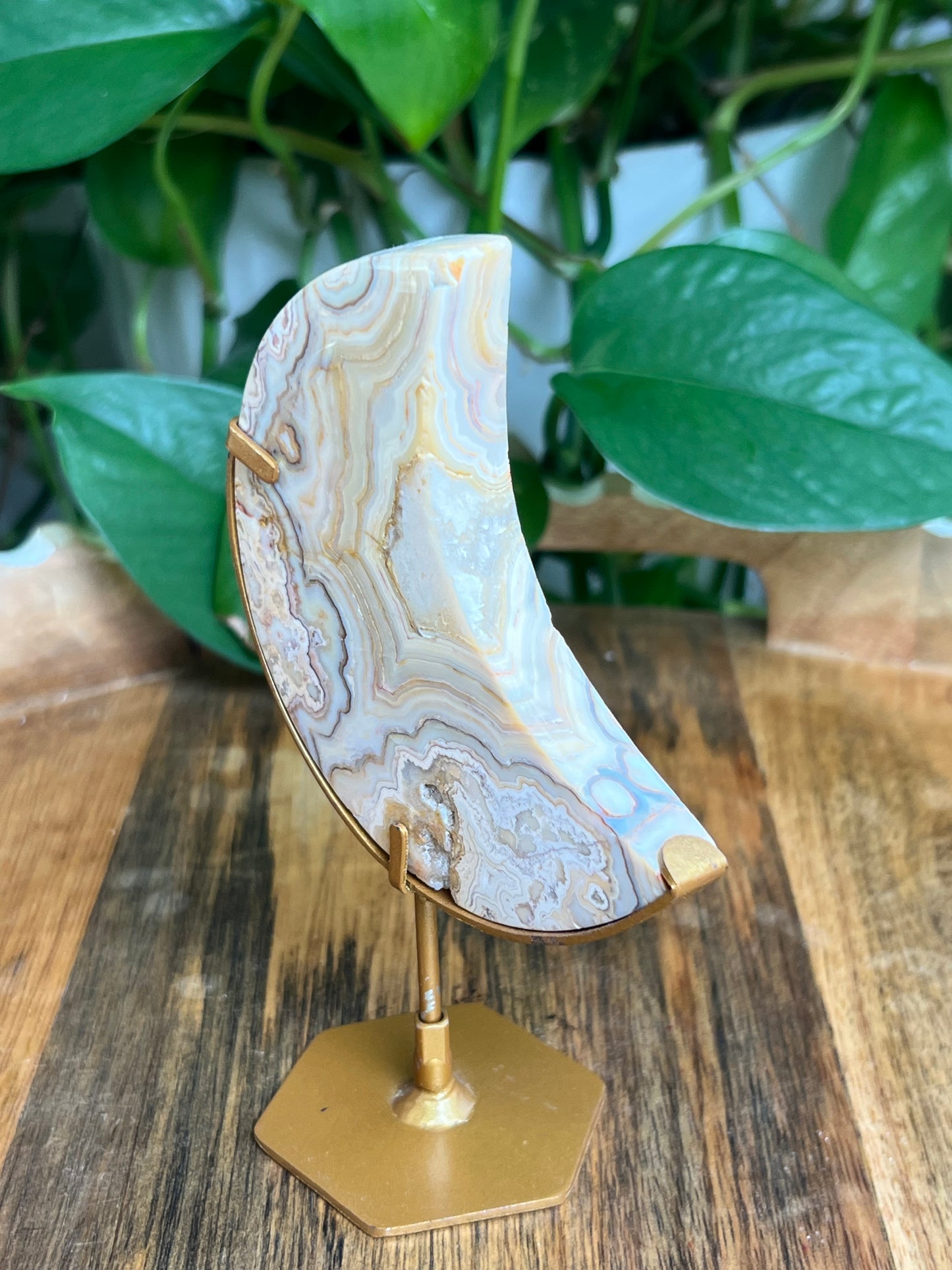 Yellow Crazy Lace Agate Moon: EB