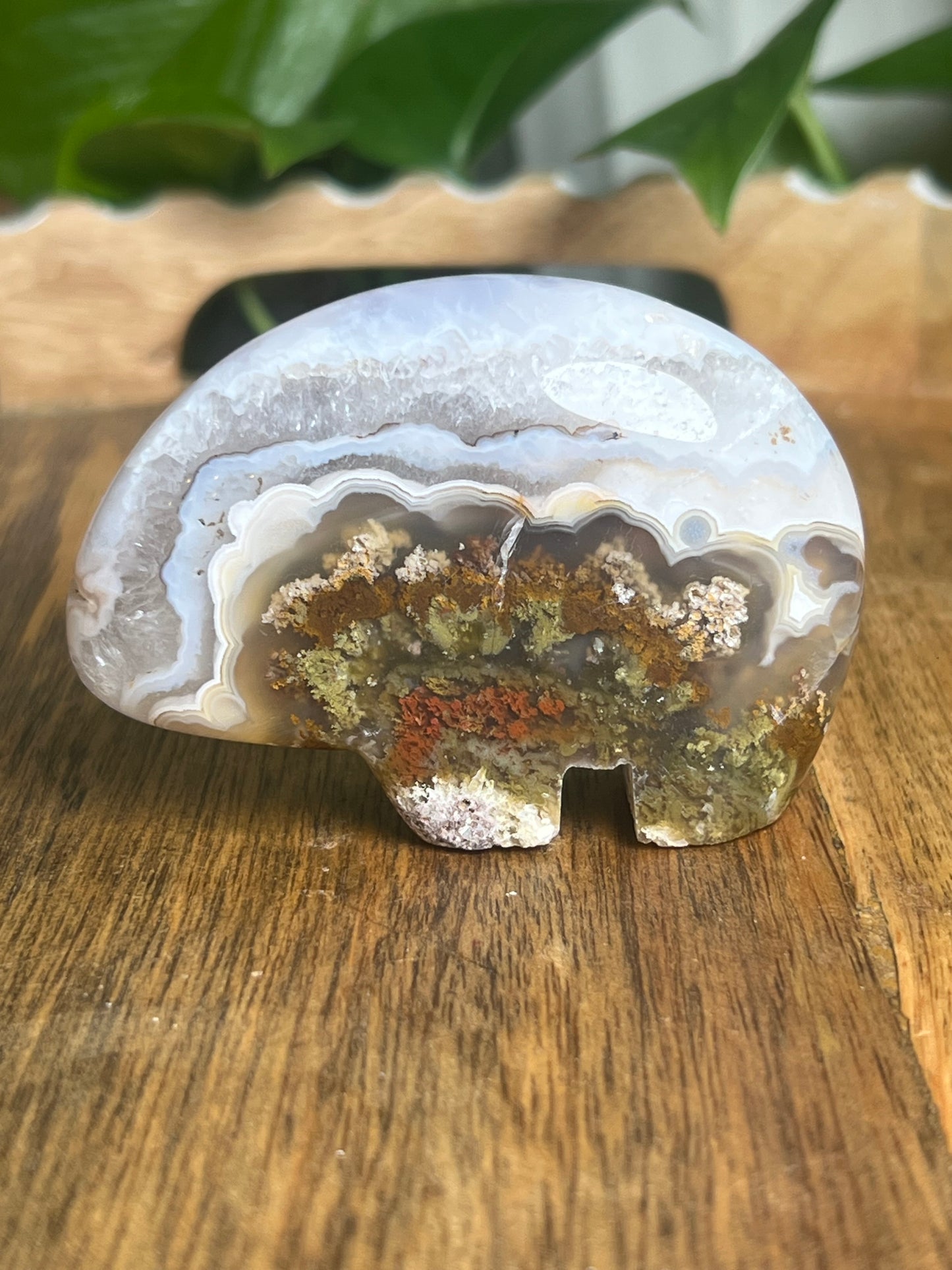 Scenic Moss Agate Bear BX