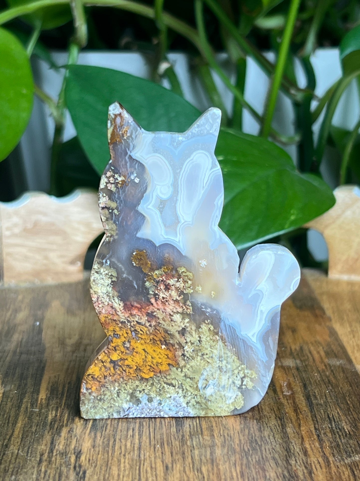 Scenic Moss Agate Cat: HX