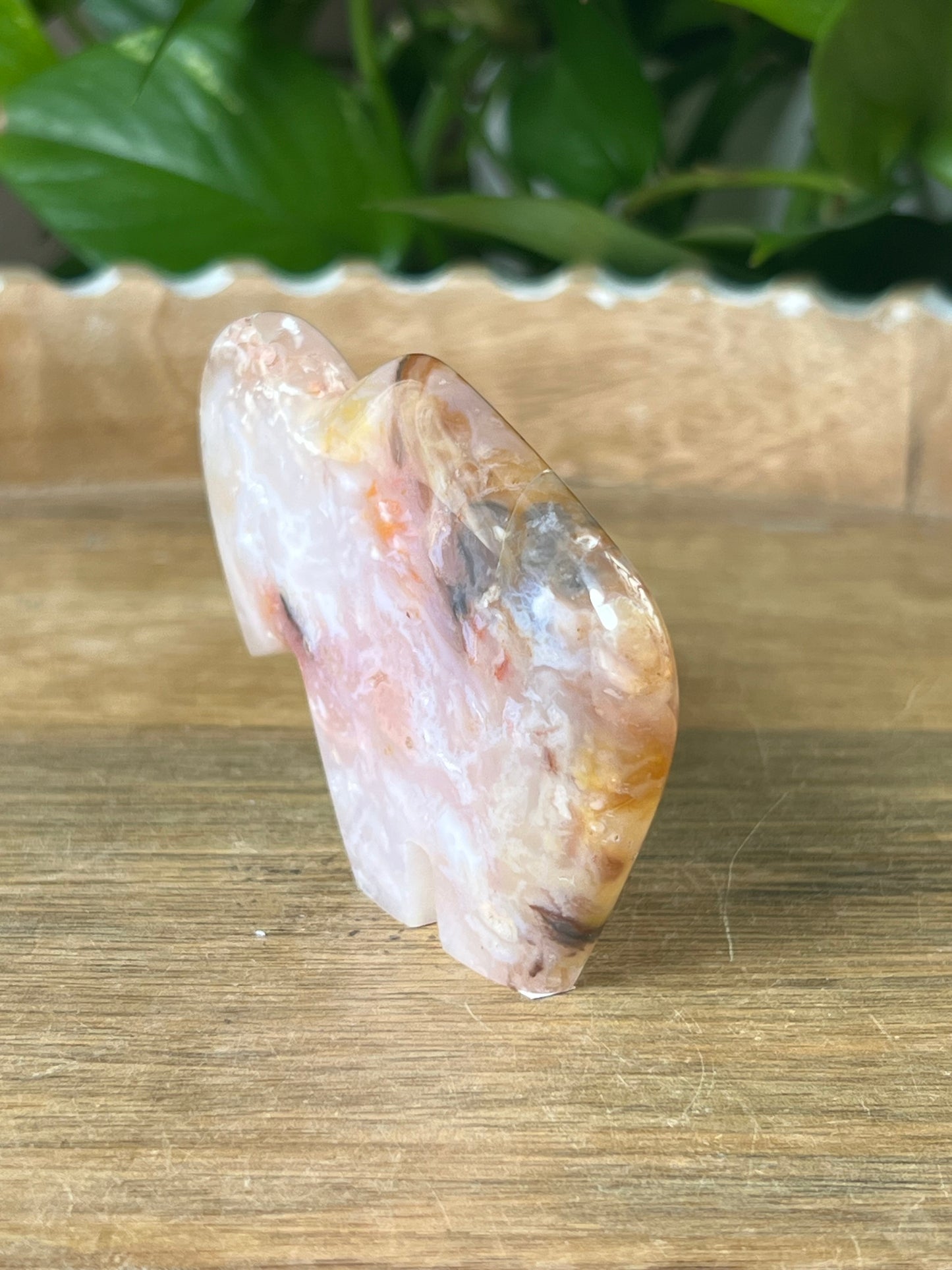 Rainbow Plume Agate Buffalo