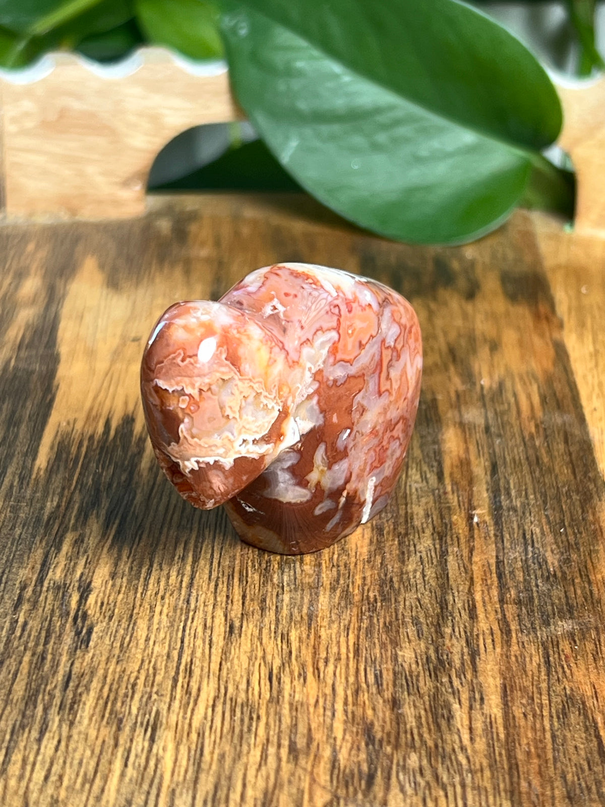 Carnelian Mini Buffalo: BE
