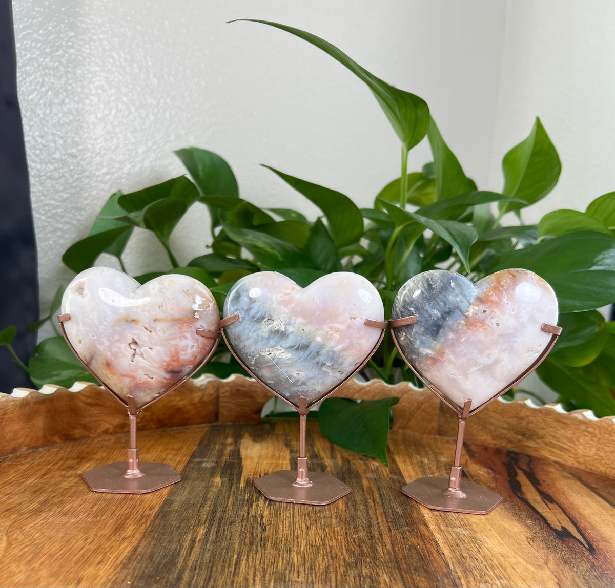 Rainbow Plume Agate Hearts