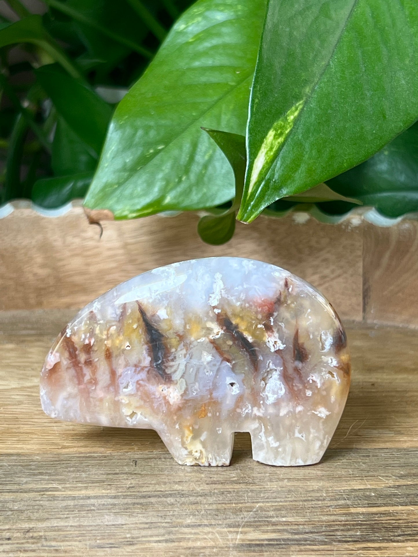 Rainbow Plume Agate Bear