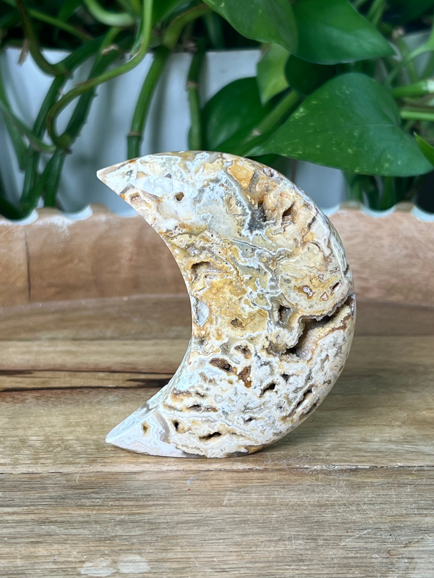 Crazy Lace Agate Moon