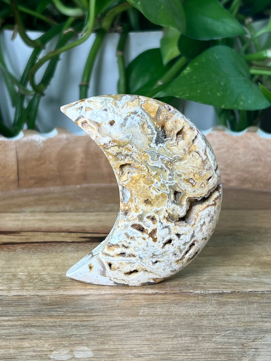 Crazy Lace Agate Moon