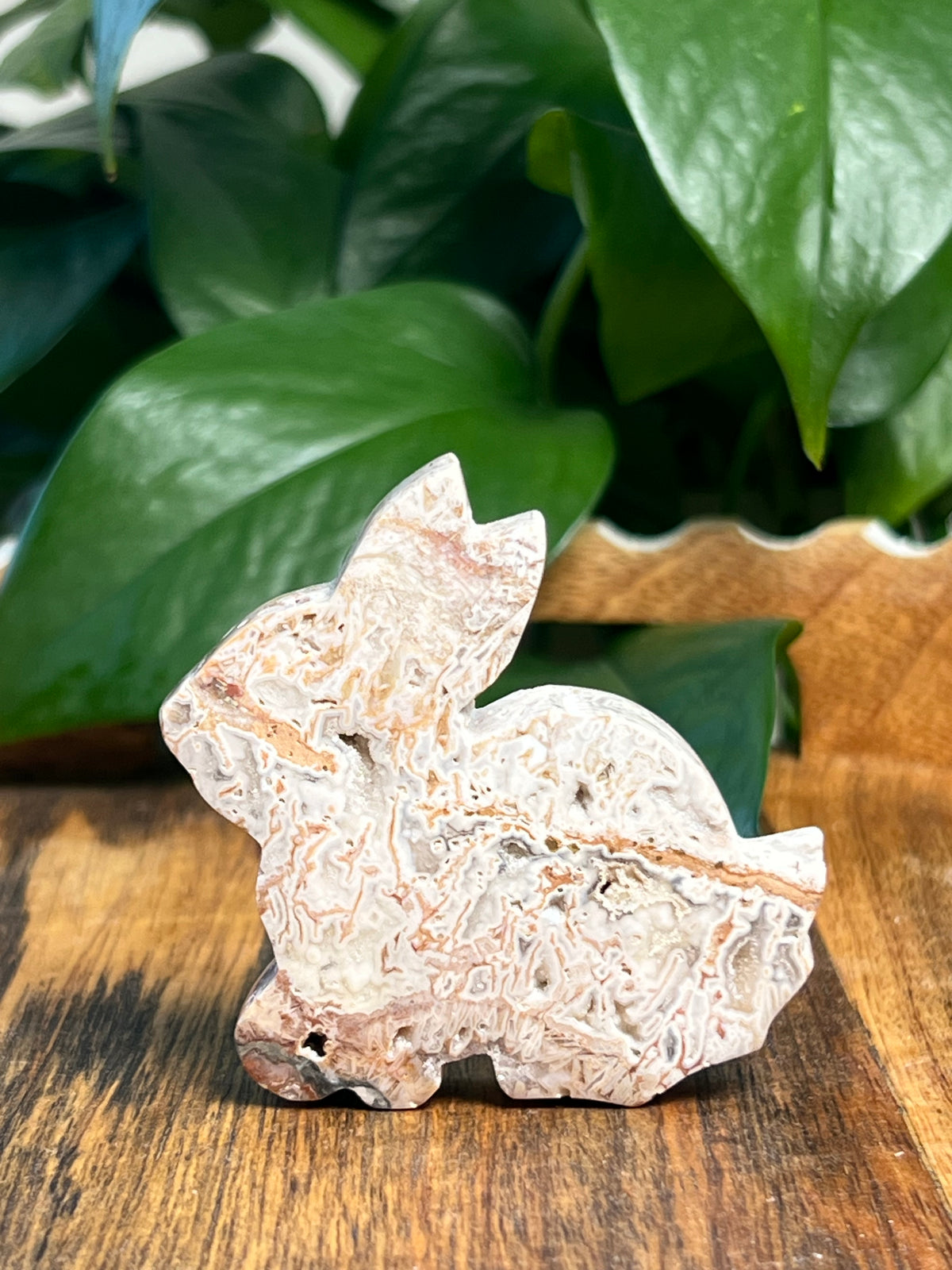 Tube Agate Bunnies