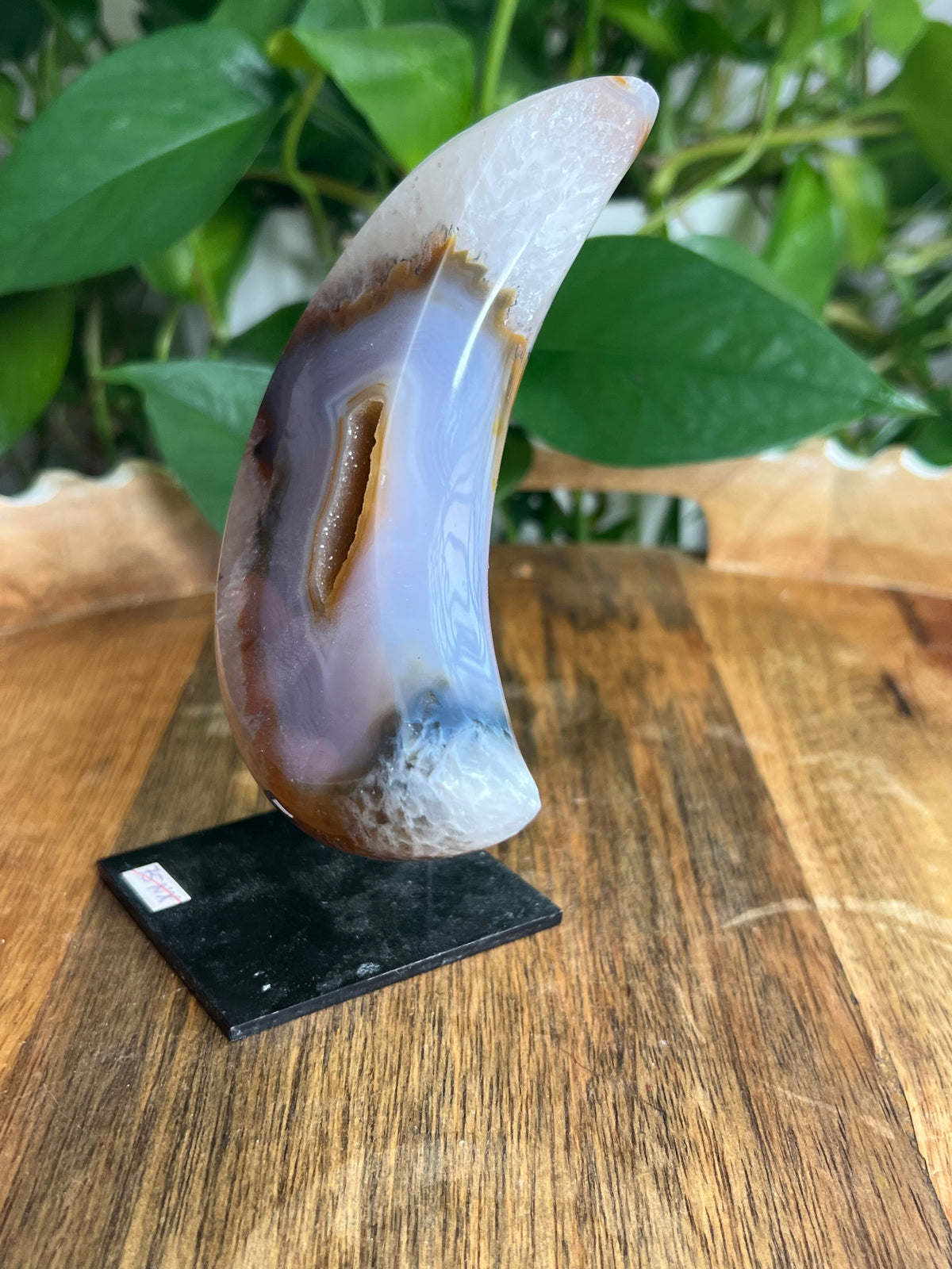 Brazilian Druzy Agate Moon: NX