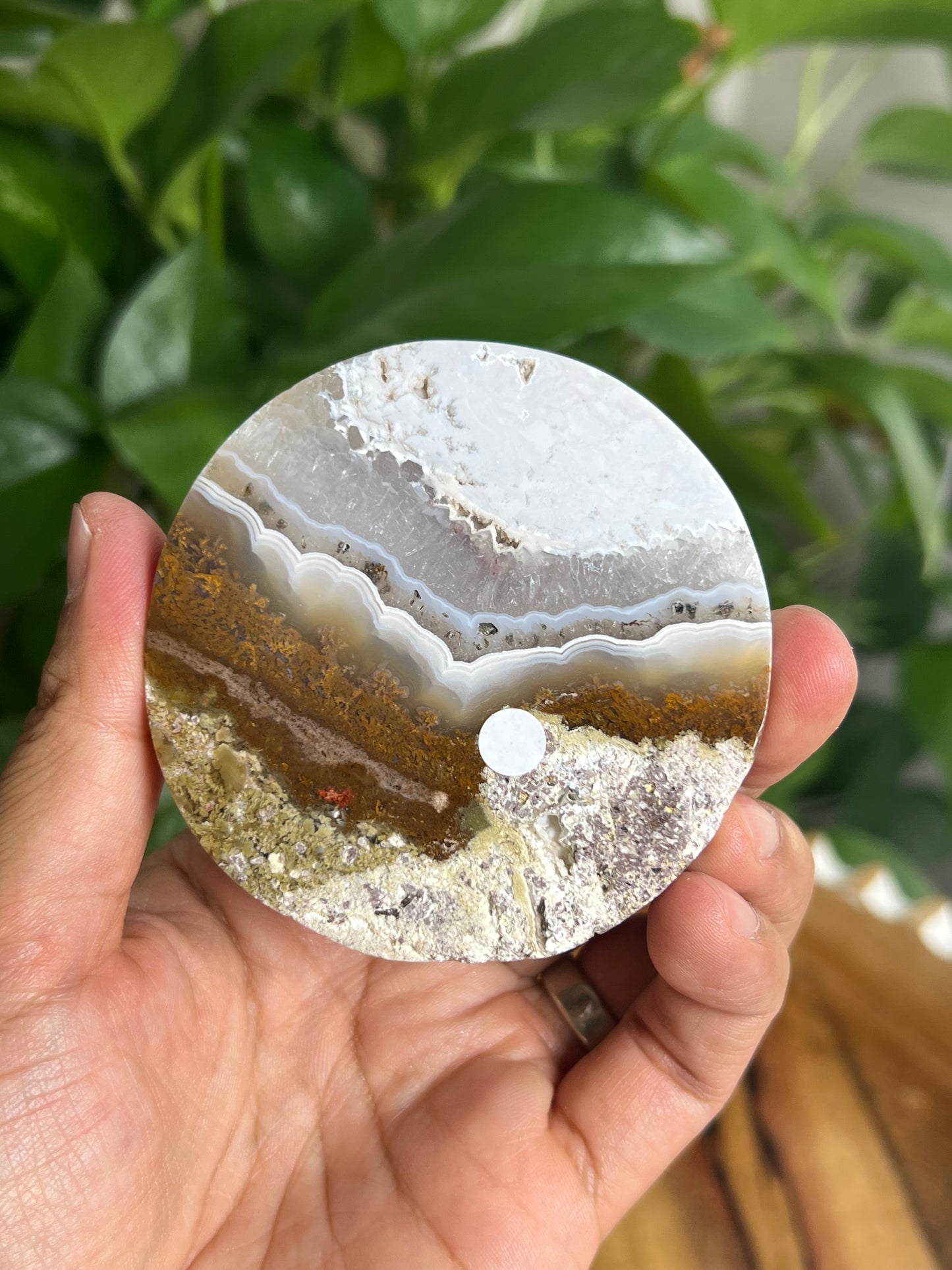 Scenic Moss Agate Coaster: KE