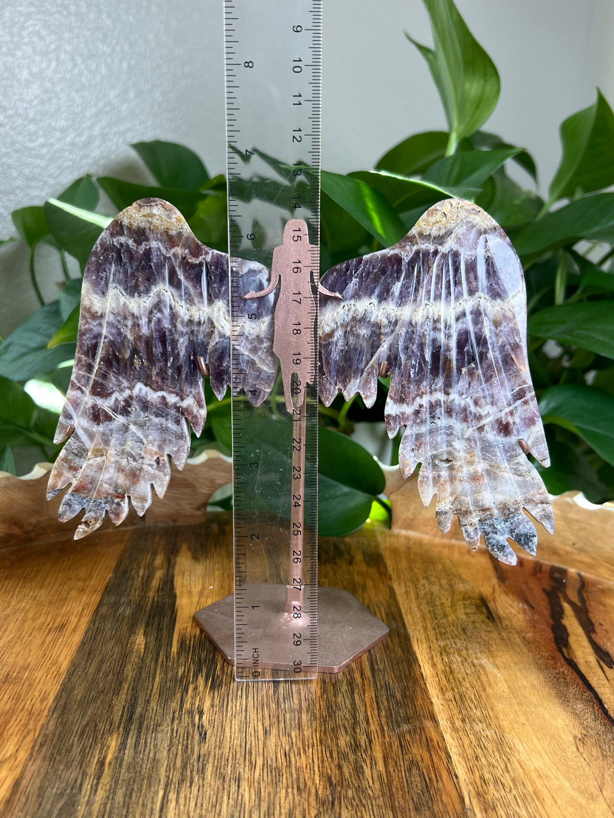 Indonesian Amethyst Wings: SE