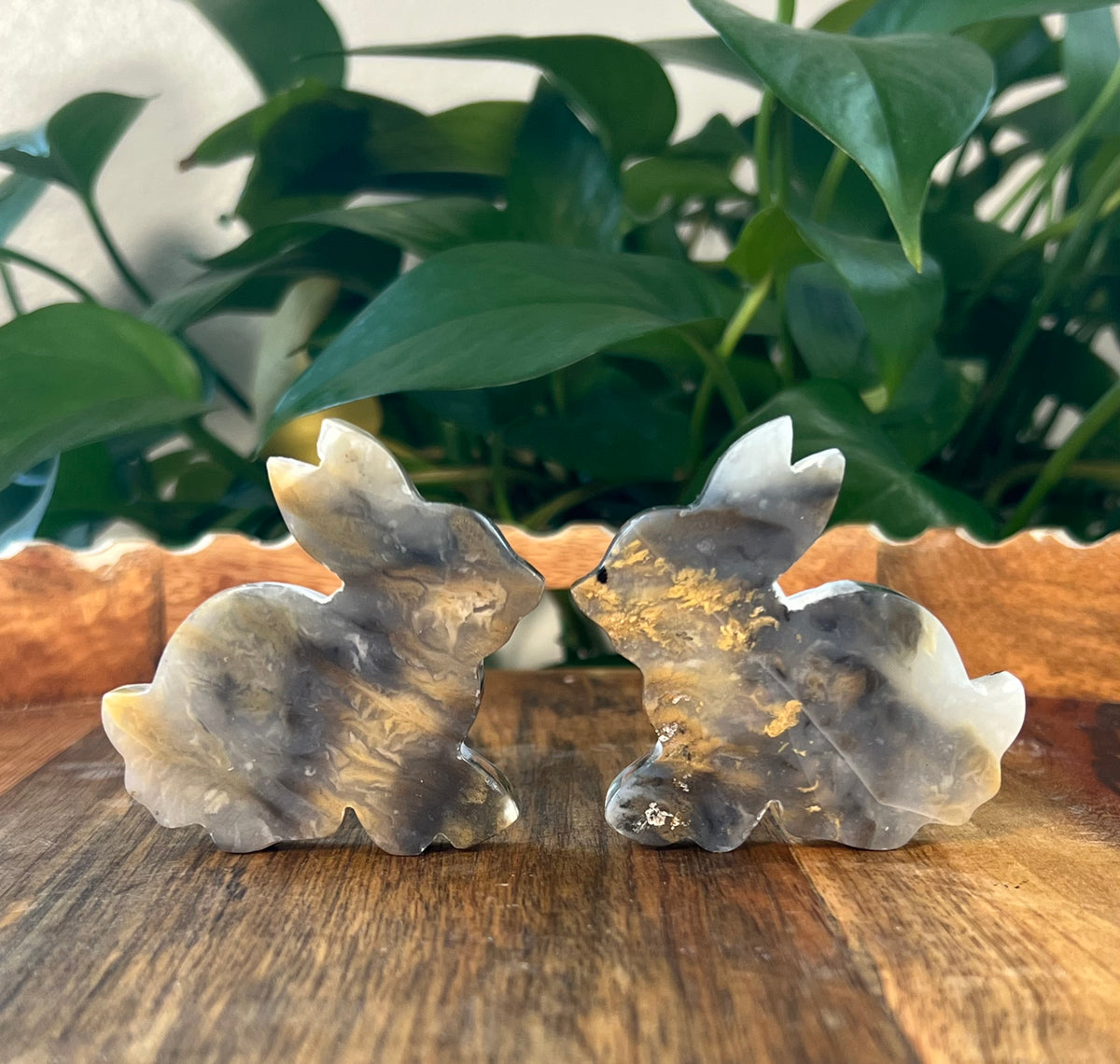 Dendritic Tiger Agate Bunnies