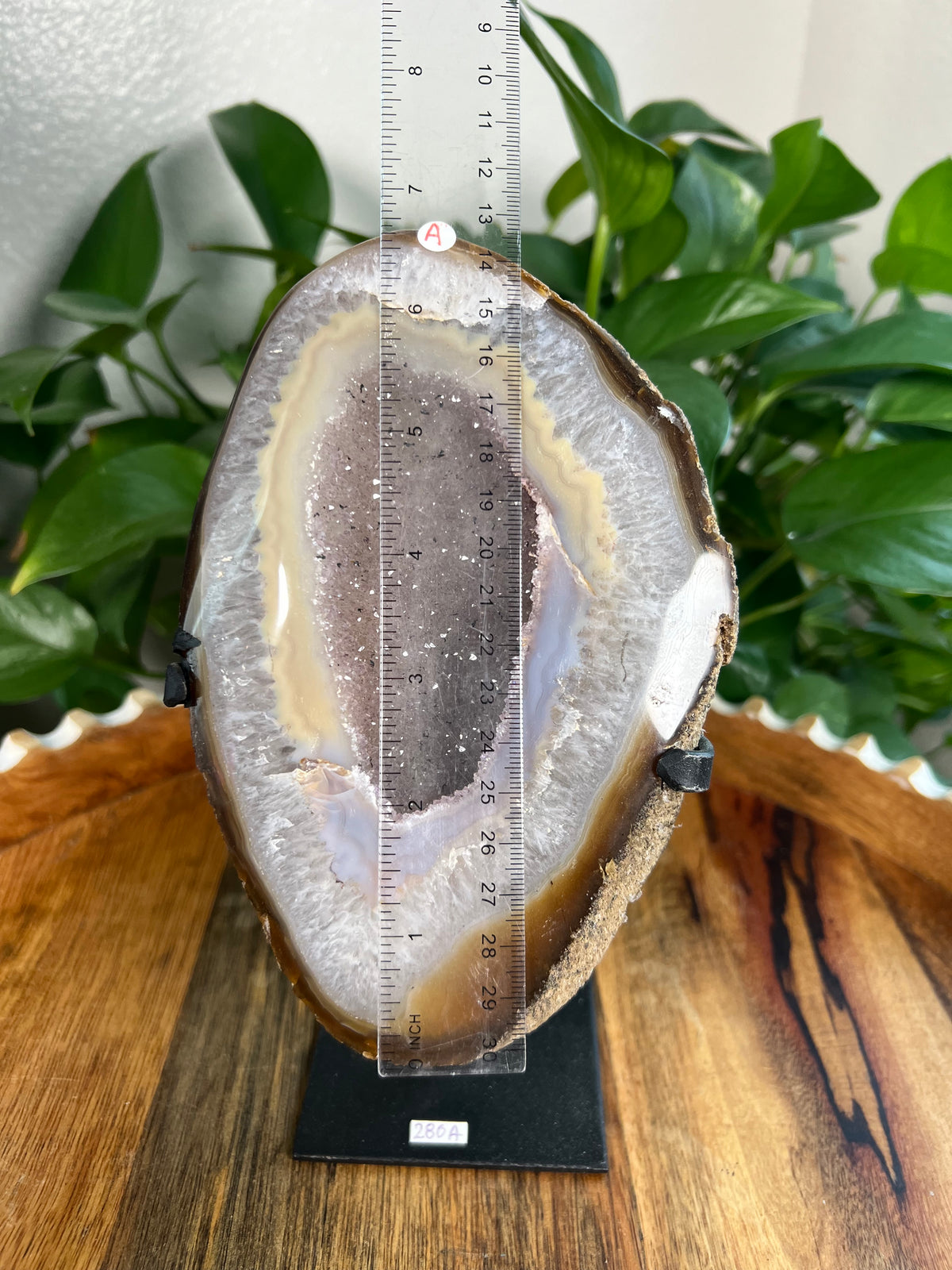 Brazilian Druzy Agate: Ai
