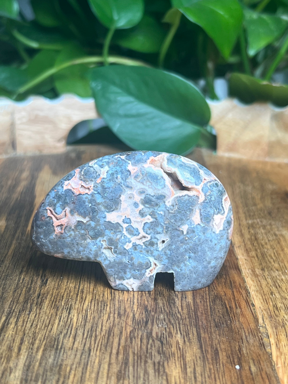 Marcasite Bear: TX