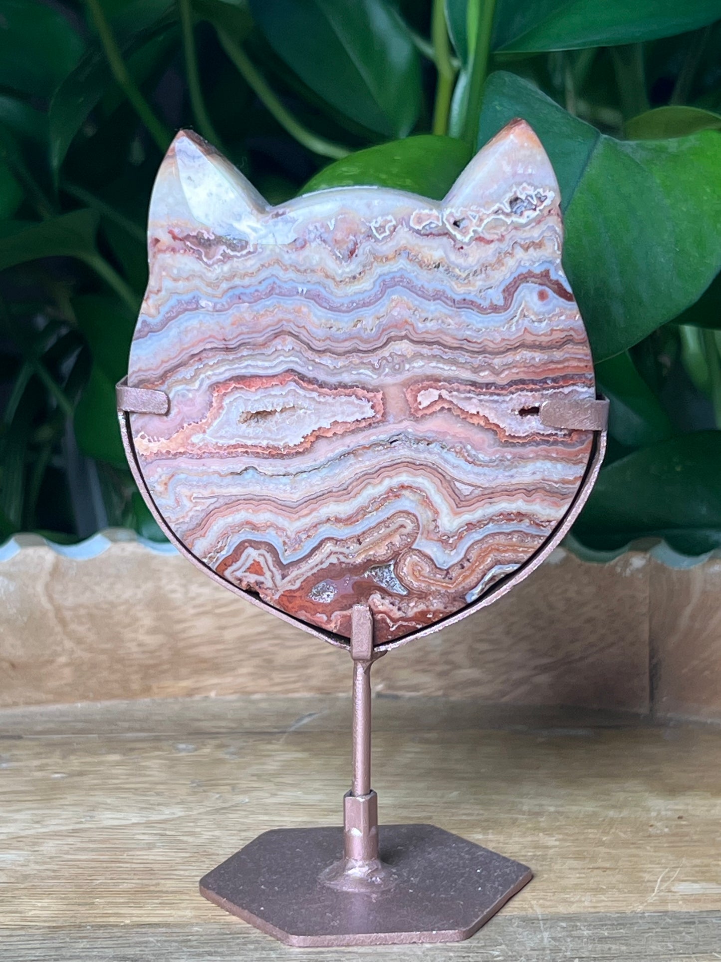 Crazy Lace Agate Cat Head