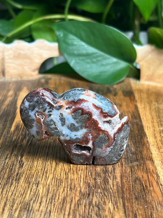 Marcasite Mini Buffalo: ME