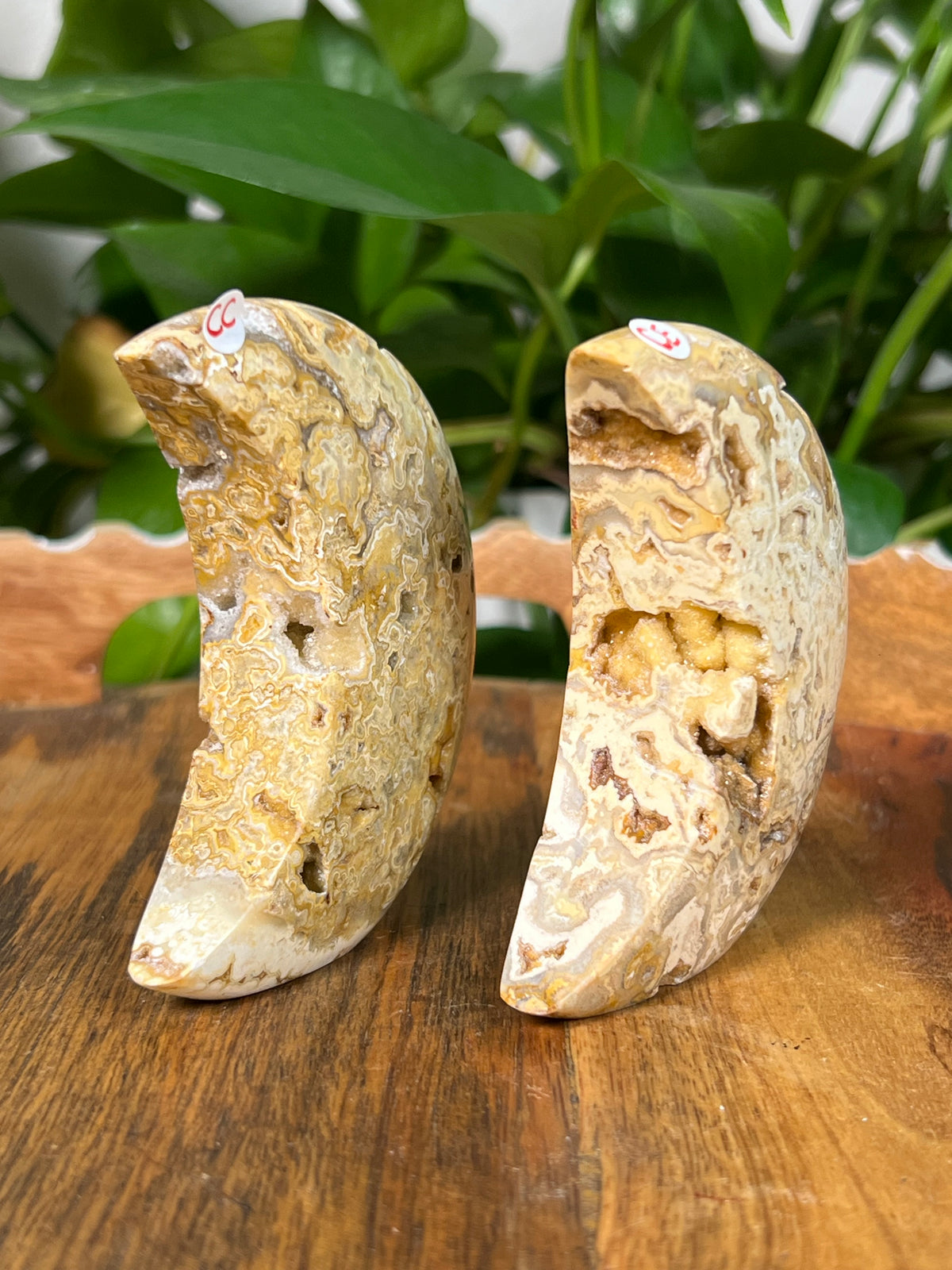 Yellow Crazy Lace Agate Self Standing Moons