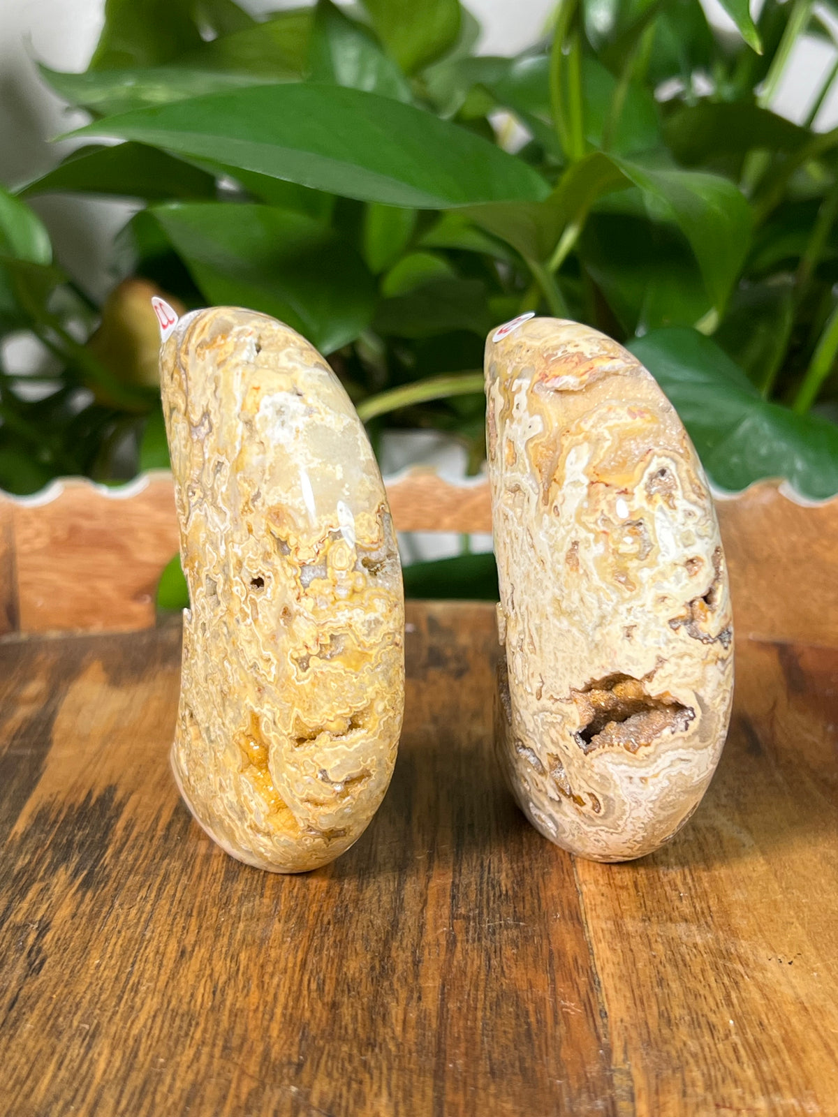 Yellow Crazy Lace Agate Self Standing Moons
