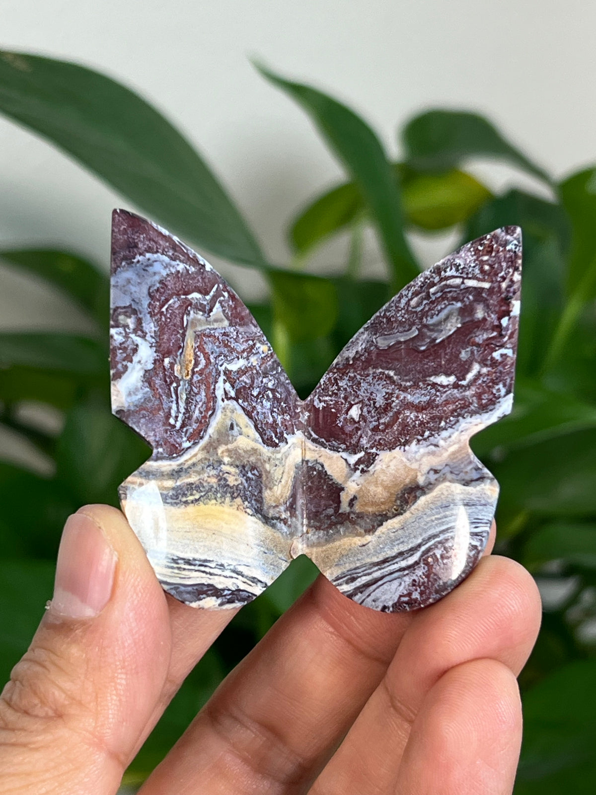 Burgundy River Jasper 3D Butterflies: Pointed Tips