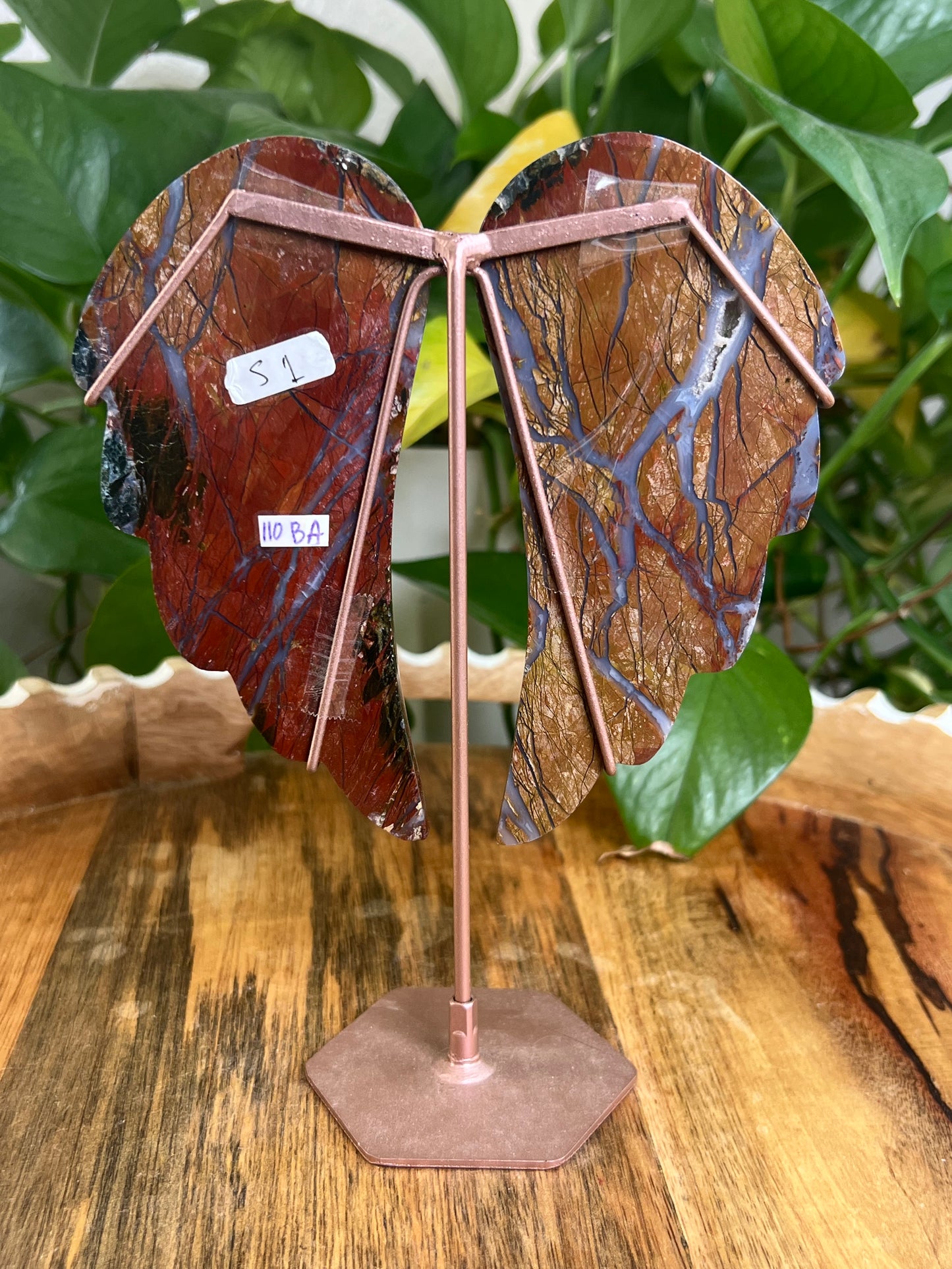 Brecciated Jasper Wings BA