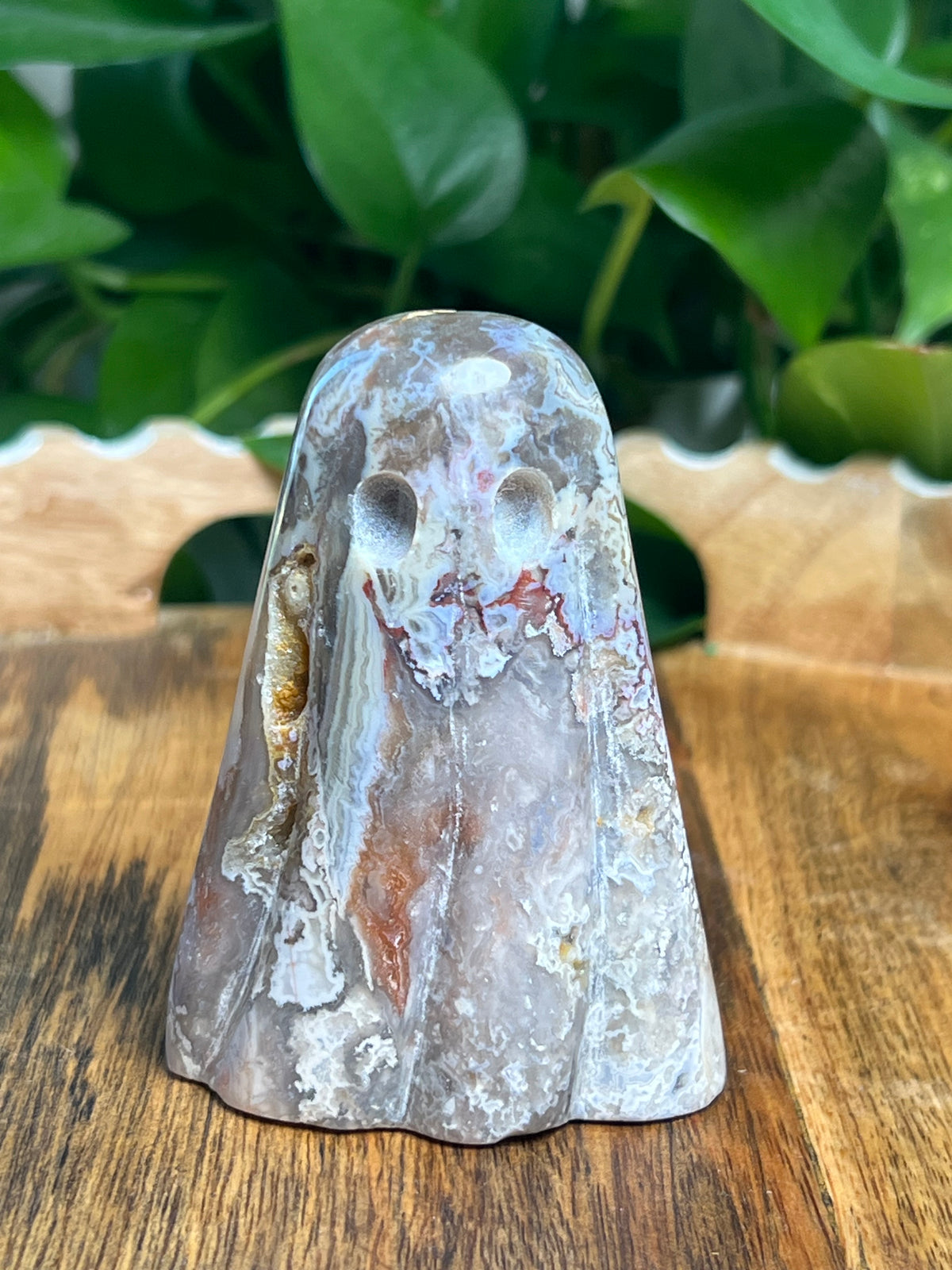 Sumatra Plume Agate Ghost: Y