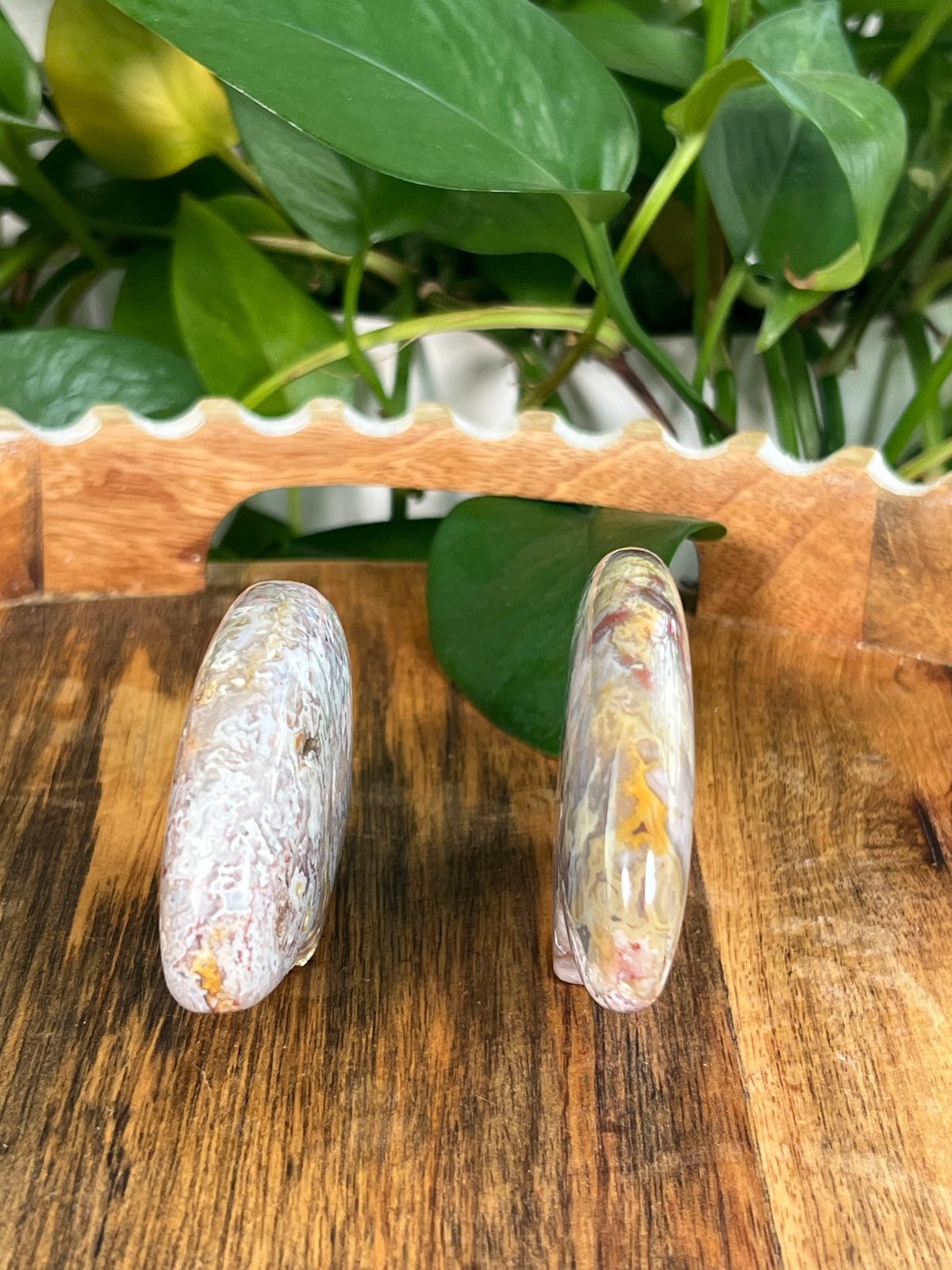 Sumatra Plume Agate Bears