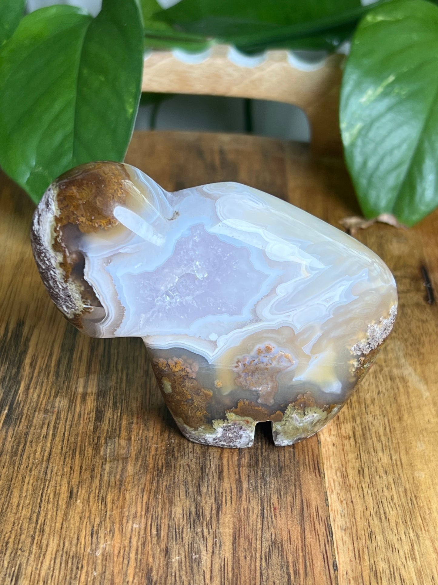 Scenic Moss Agate Buffalo NY
