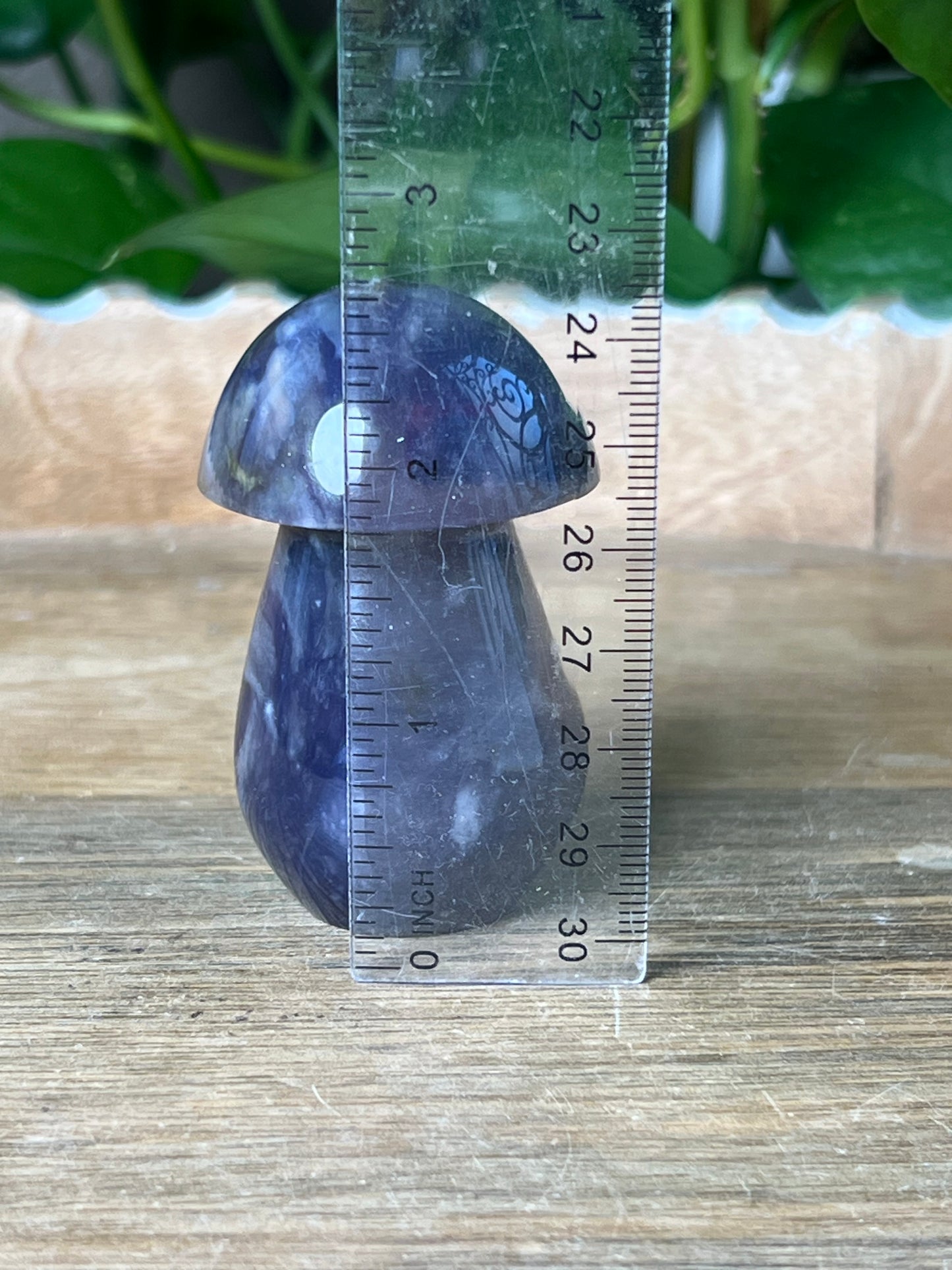 Purple Chalcedony Mushroom: BG