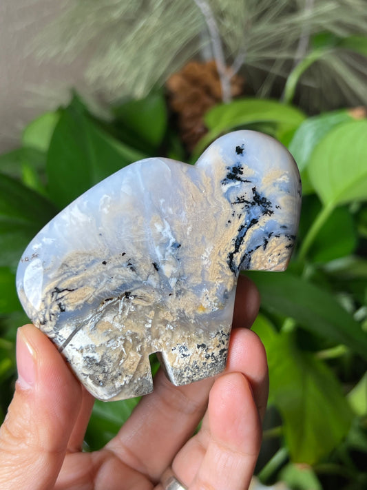 Dendritic Tiger Buffalo