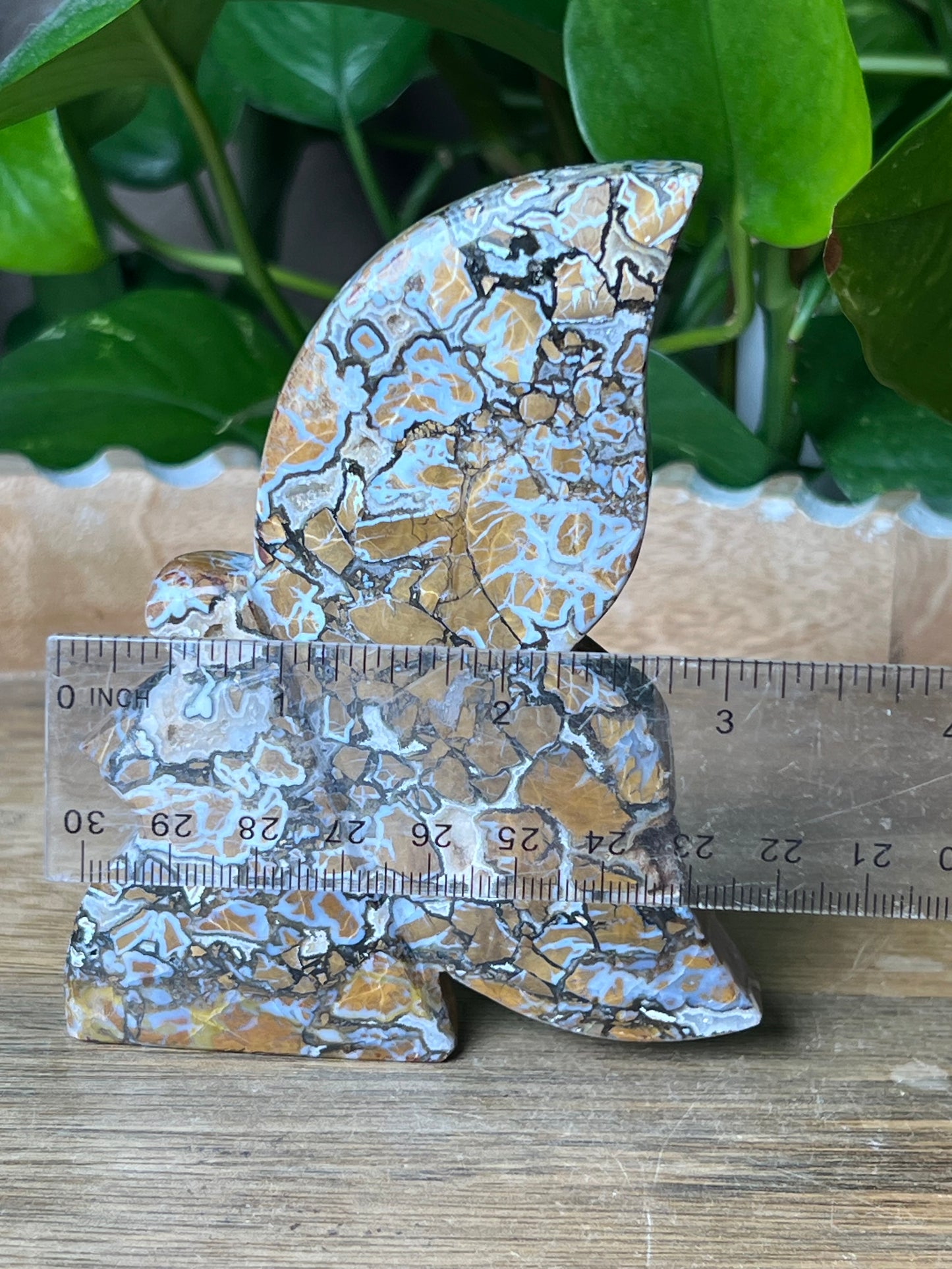 Brecciated Jasper Fairy