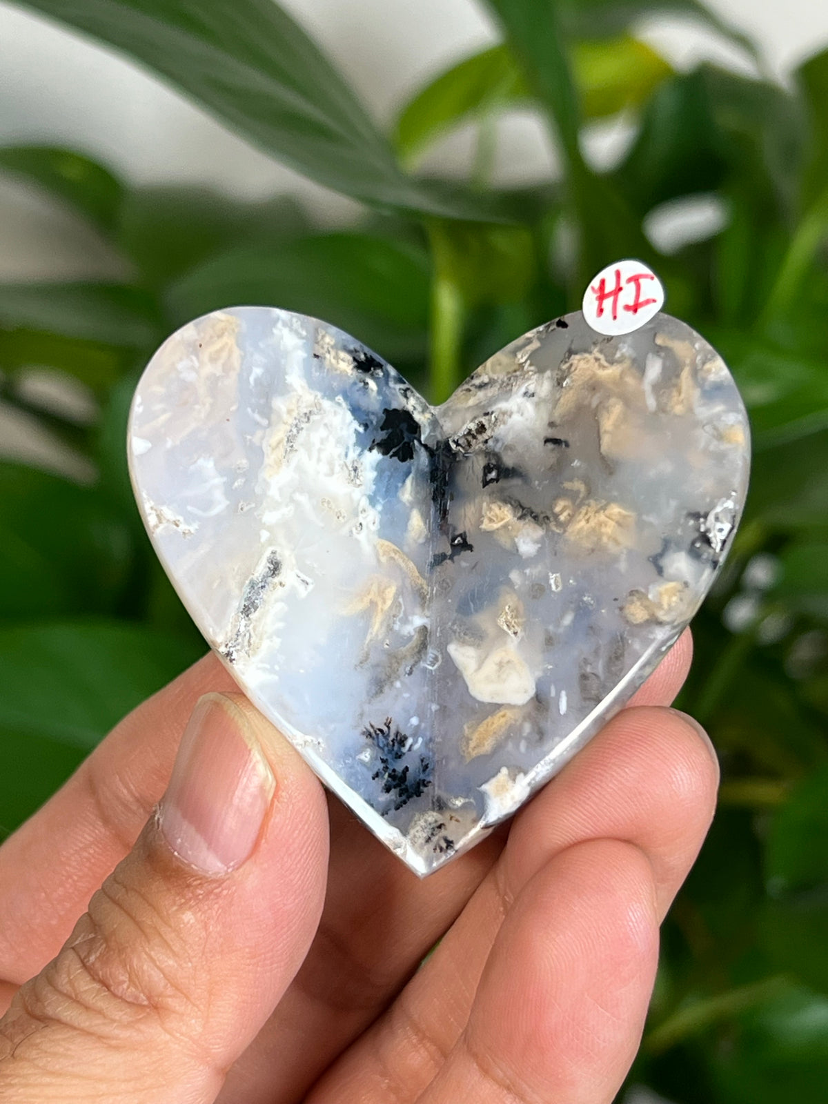 Dendritic Tiger Agate 3D Butterflies