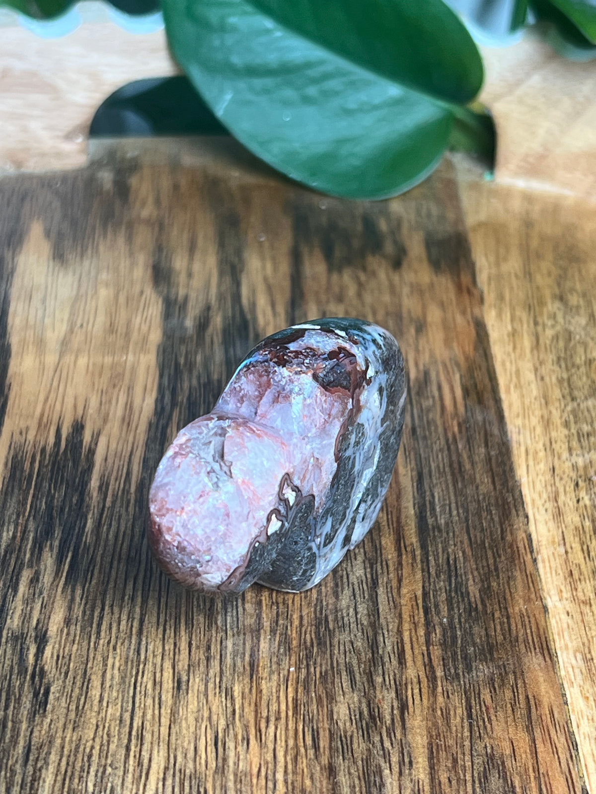 Marcasite Mini Buffalo: MC