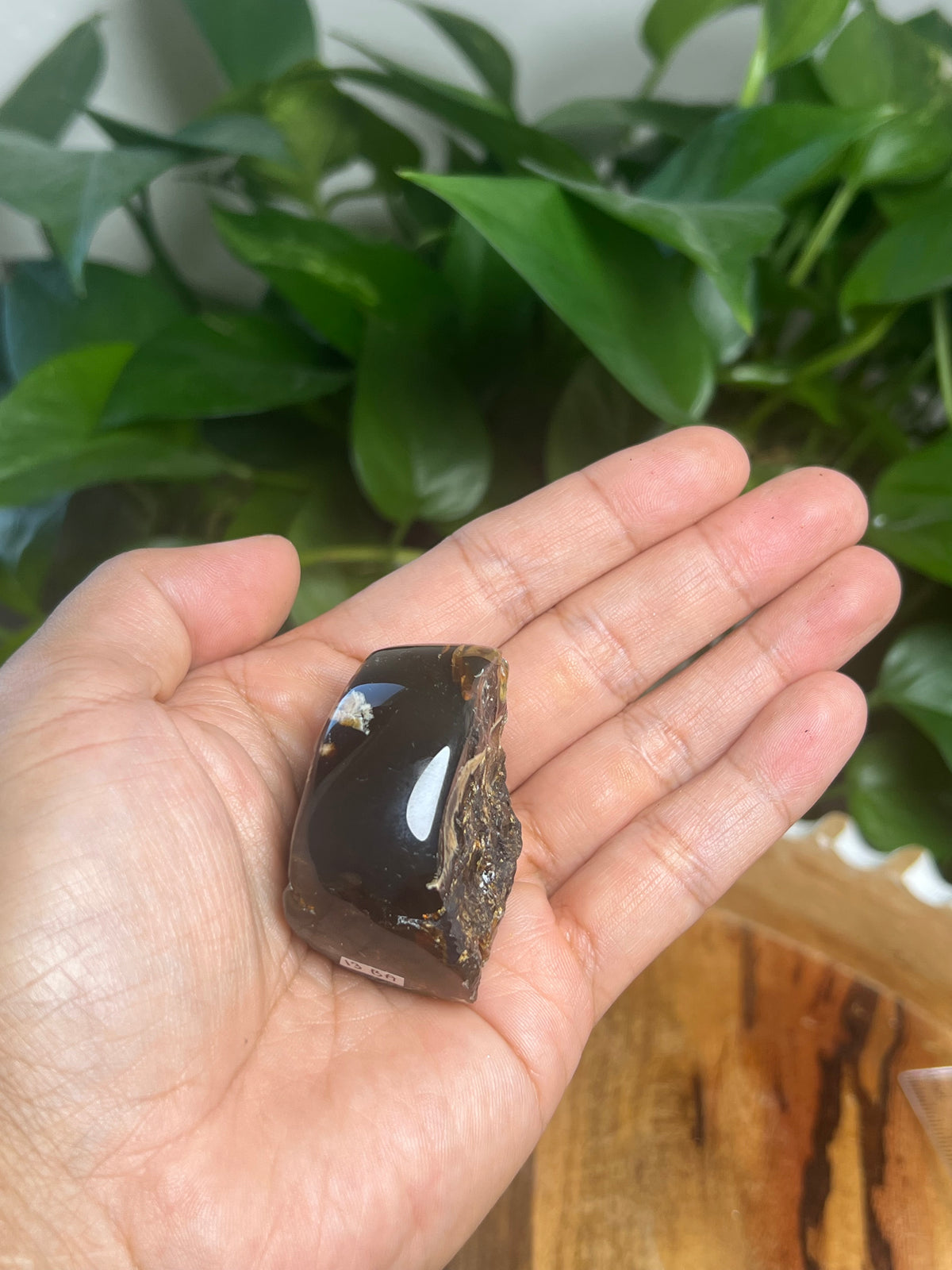 Blue Amber Freeform: BA
